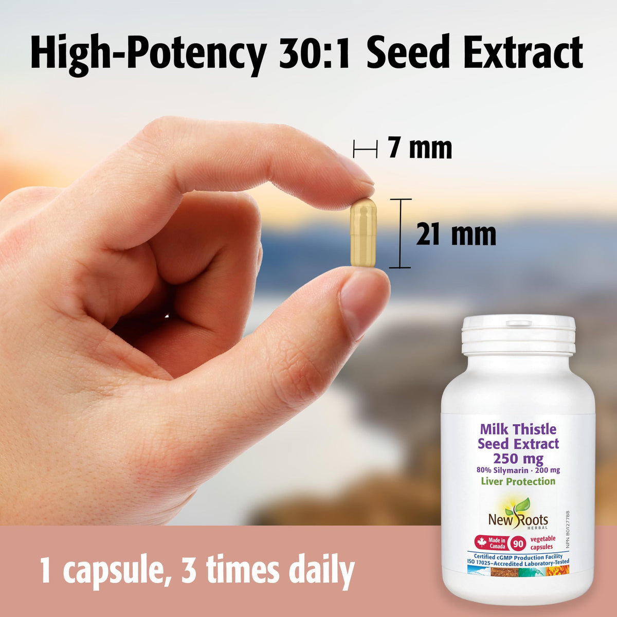New Roots Herbal - Milk Thistle Seed Extract 250 mg - 80% Silymarin 200 mg