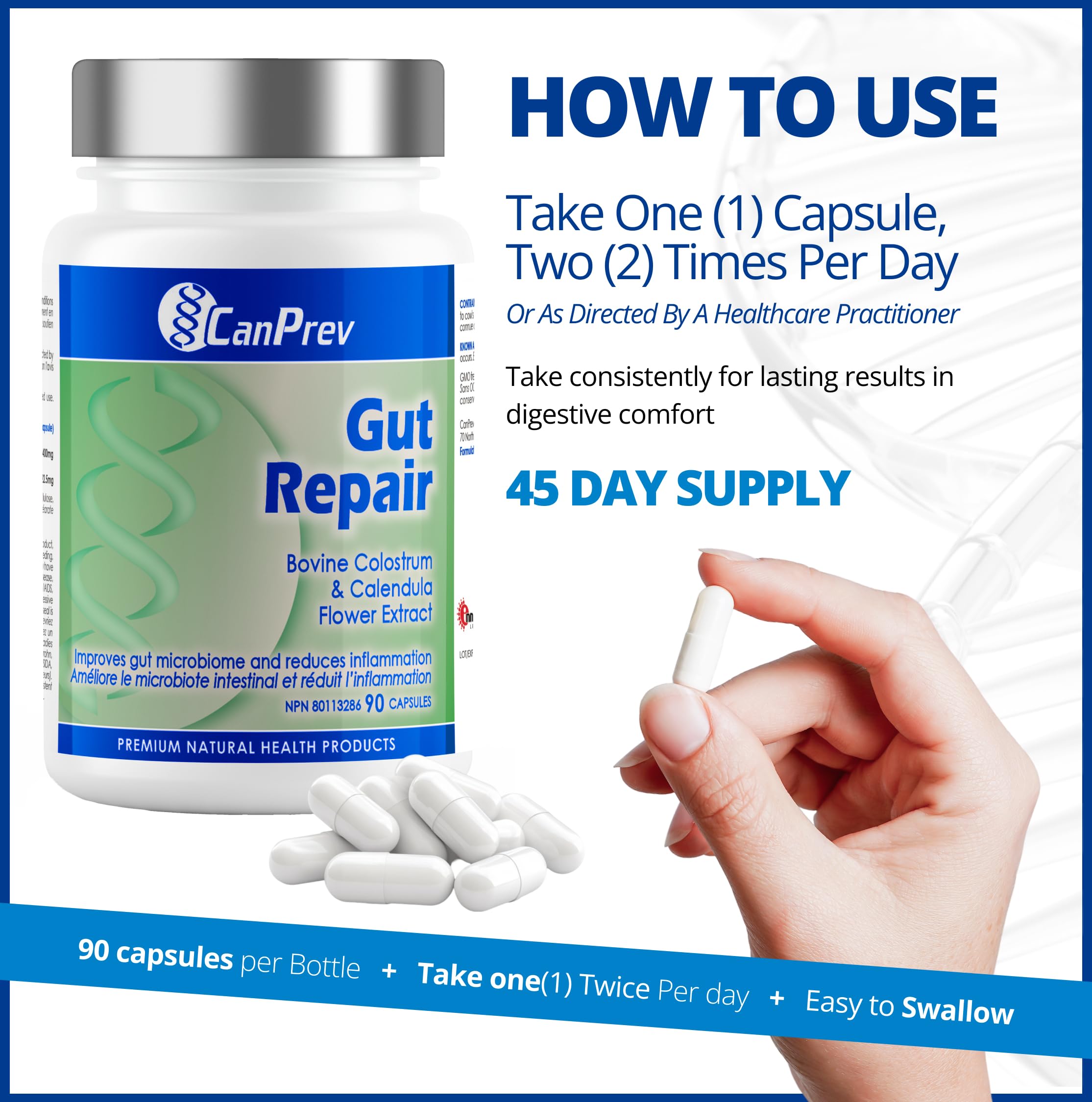 CanPrev - Gut Repair, 90 Capsules 45-Day Supply - Bovine Colostrum & Calendula Flower Extract - Dietary Supplement with Digestive Enzymes for Gut Maintenance - Non-GMO and Gluten-Free