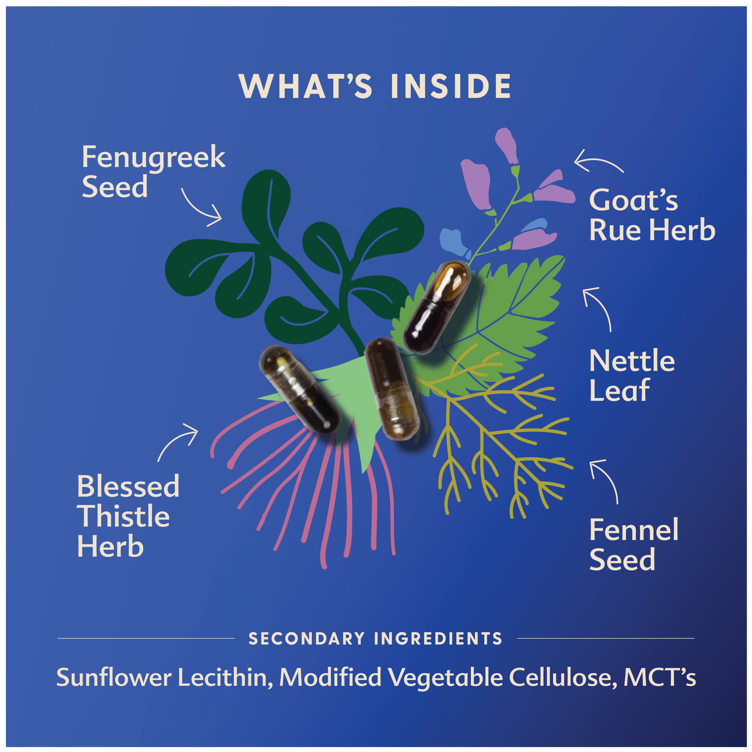 Motherlove More Milk Special Blend Vegan Capsules (120 caps) Herbal Lactation Supplement w/ Goat‚Äôs Rue to Build Mammary Tissue & Enhance Breast Milk Supply for Nursing & Pumping Moms‚ÄîOrganic Herbs, Non-GMO