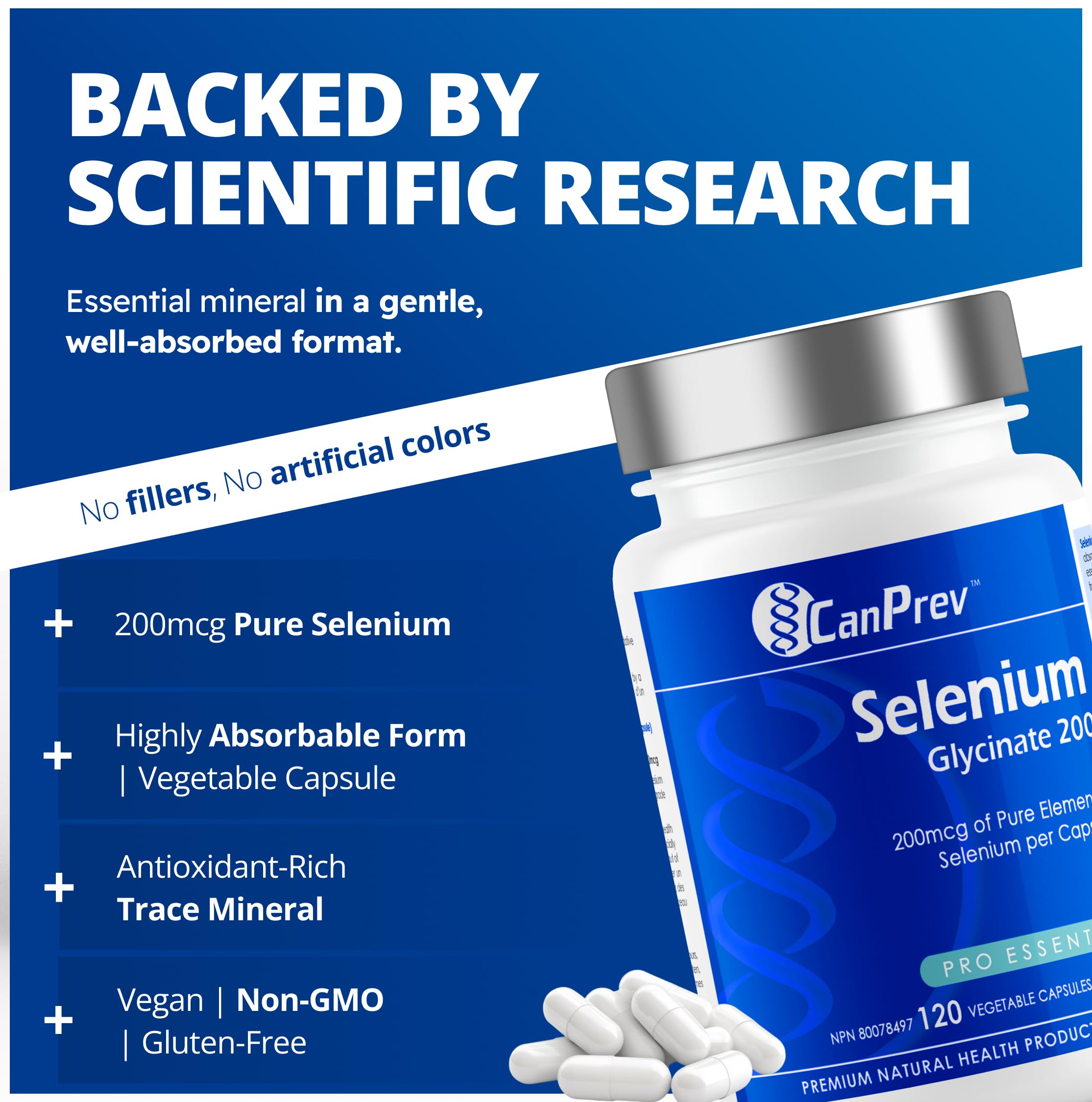 CanPrev Sélénium Glycinate Pur 200mcg, 120 V-Caps, Approvisionnement de 4 Mois, Oligo-élément Essentiel pour le Soutien Antioxydant, la Fonction Thyroïdienne et la Synthèse d'ADN, Aide à Maintenir la Santé de la Prostate - Convient aux Végétaliens