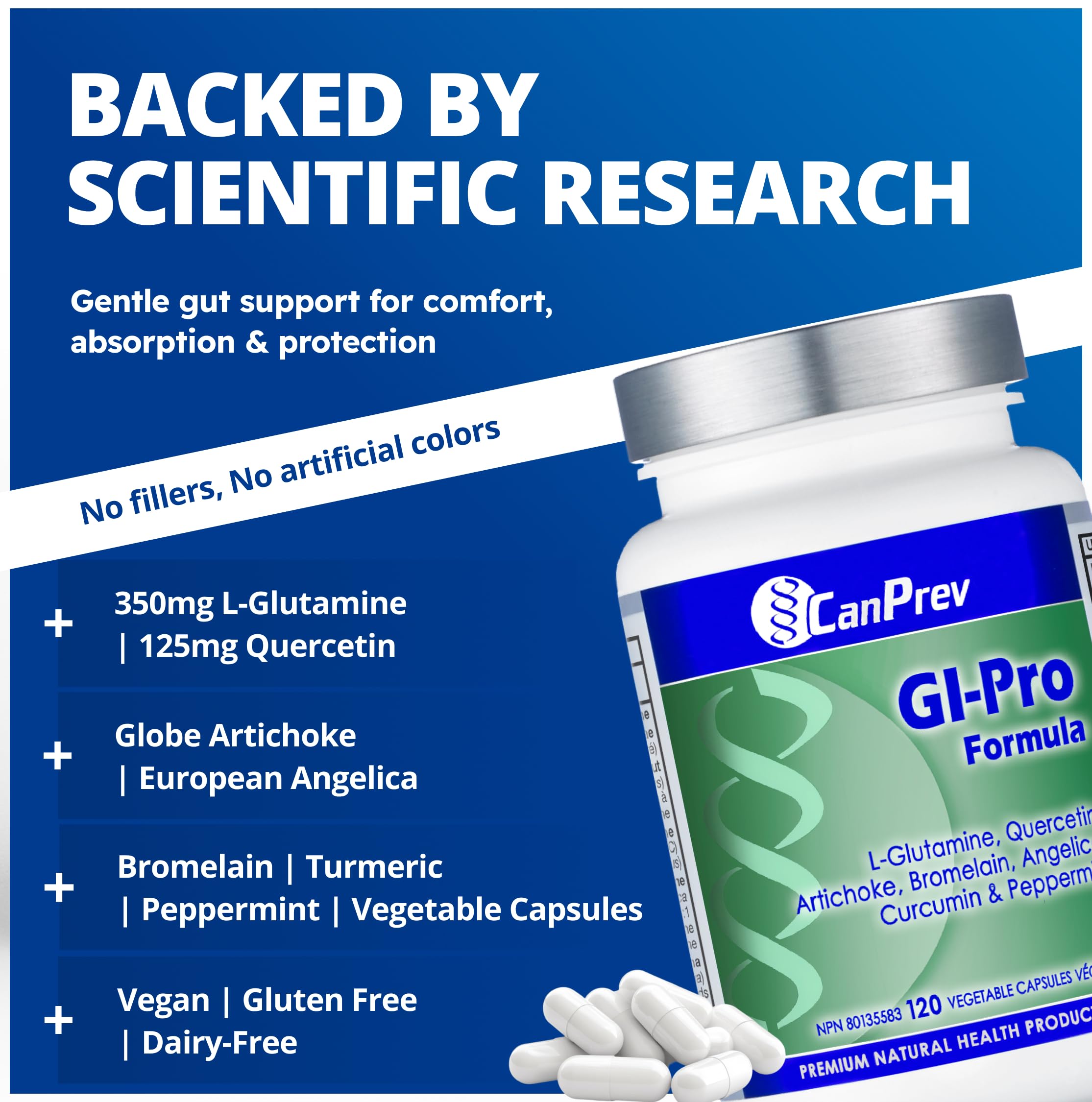 CanPrev GI-Pro Formula, 120 V-Capsules végétaliennes avec L-Glutamine, Quercétine, Artichaut, Angélique, Bromélaïne, Curcumine et Menthe poivrée - Favorise le confort digestif et le bien-être intestinal général