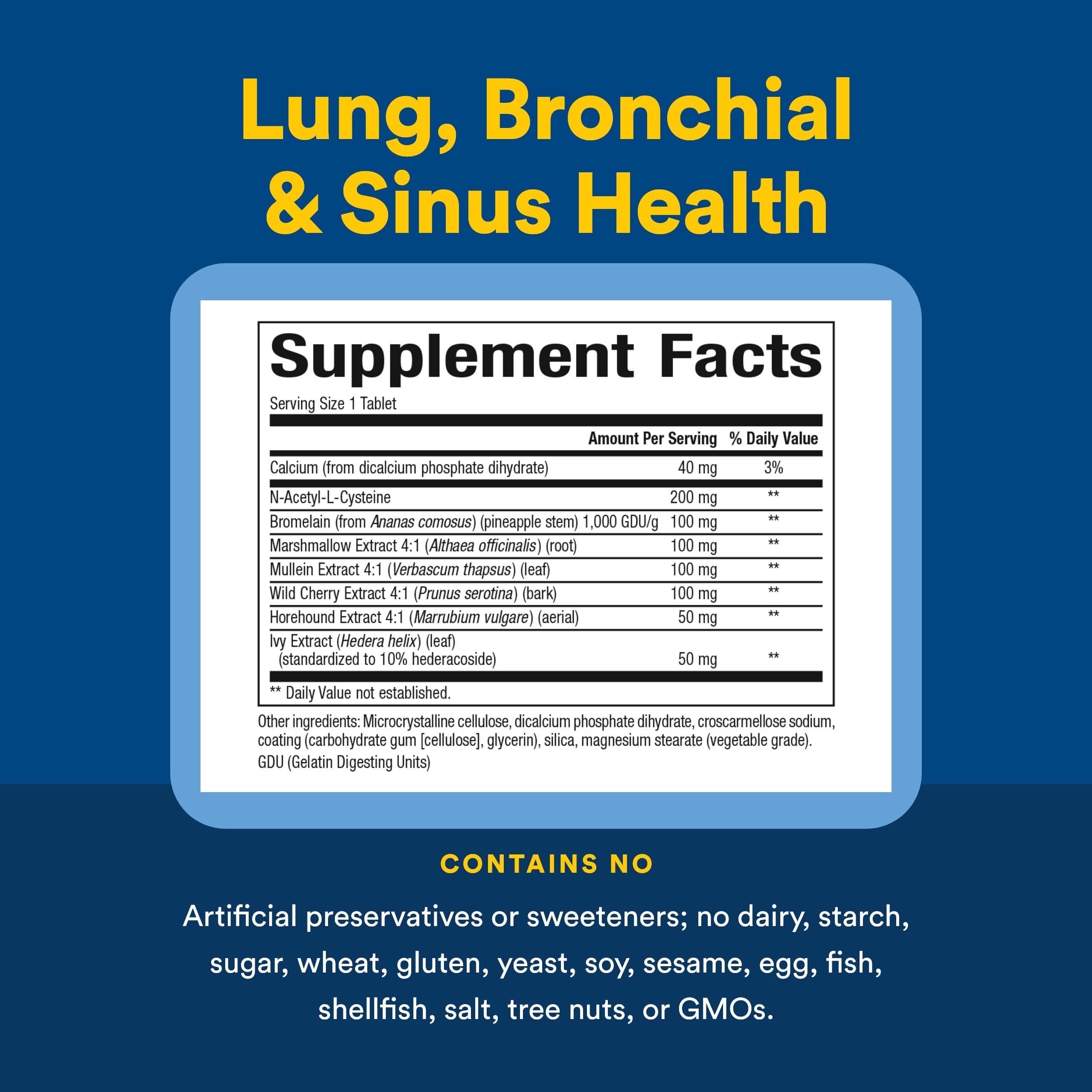 Natural Factors - Lung, Bronchial, & Sinus Health, Promotes Lung Health, 45 Tablets