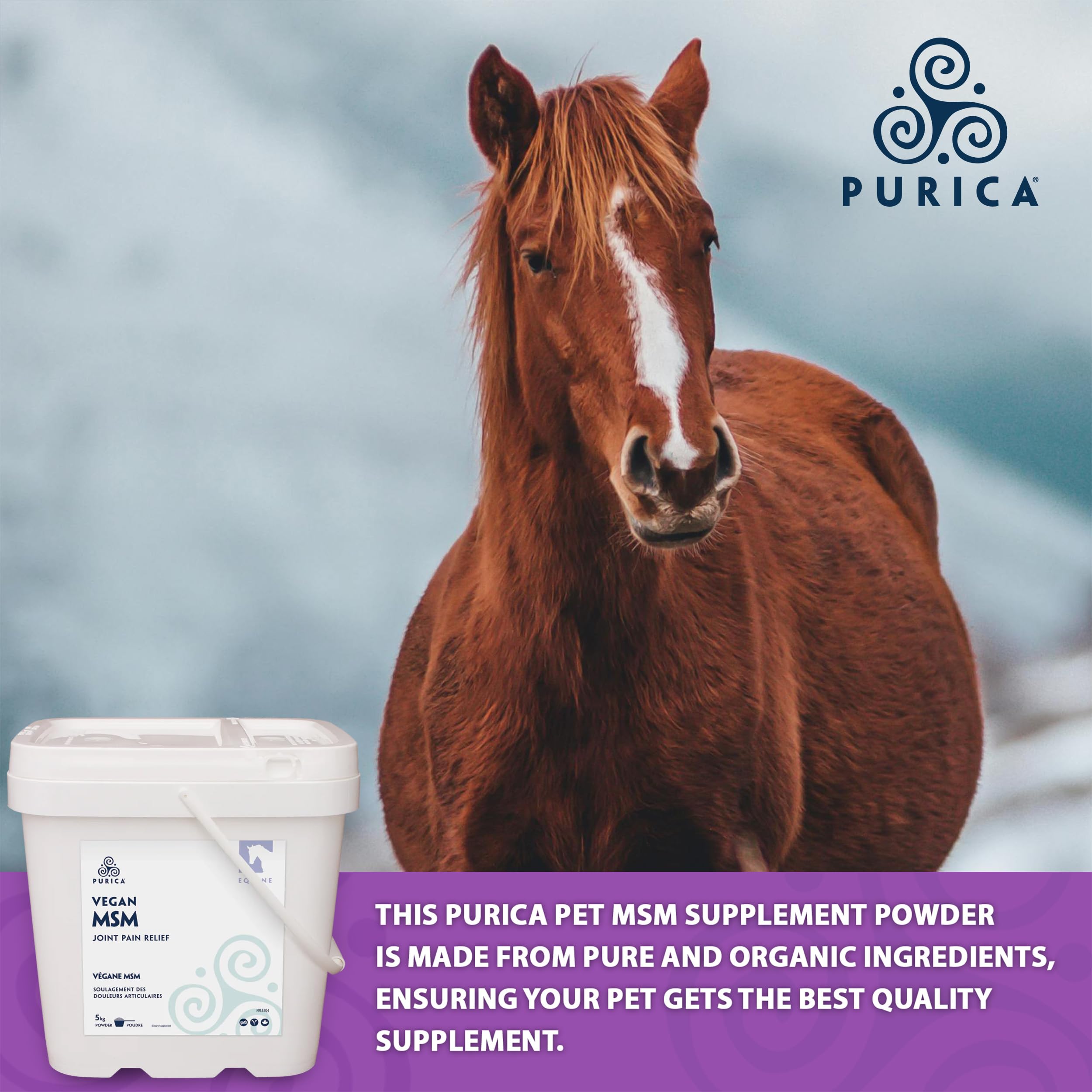 PURICA Équin MSM Végétalien en Poudre - Supplément Pur & Organique pour Chevaux pour le Soutien Articulaire, 1kg