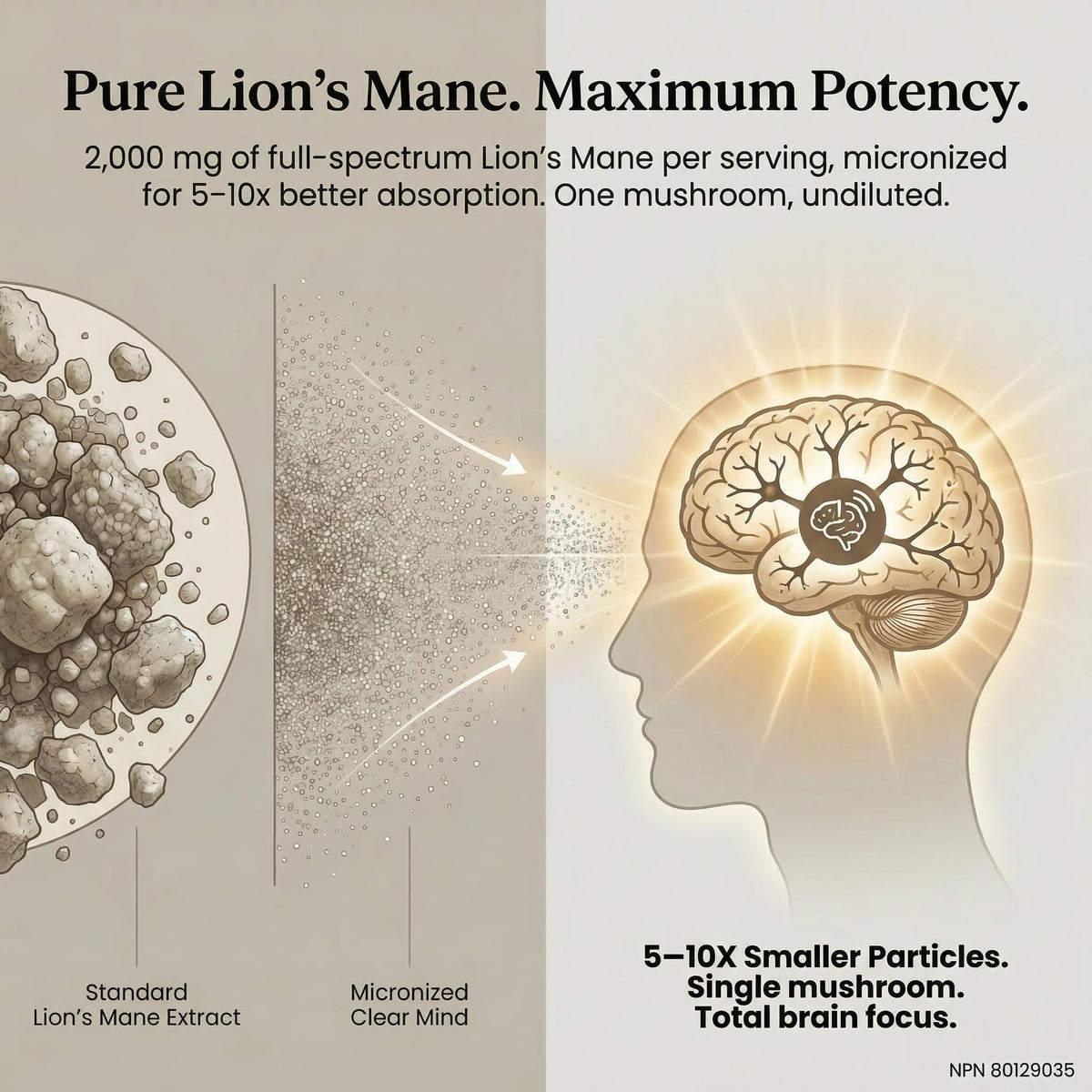 PURICA Zensations Clear Mind, Organic Lions Mane, 1600mg, Made in Canada