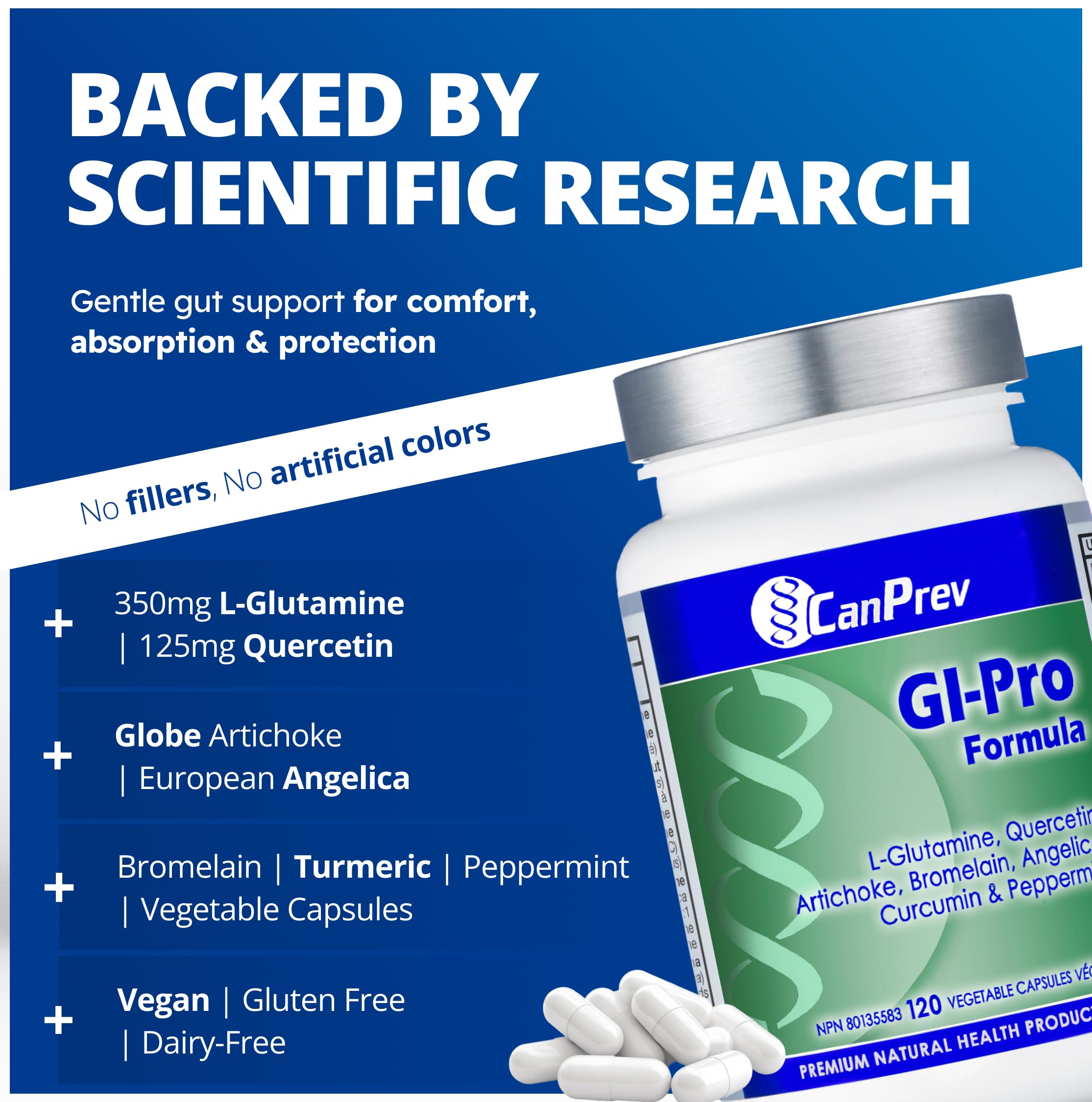 CanPrev GI Pro Formula, 120 Vegan V-Capsules with L-Glutamine, Quercetin, Artichoke, Angelica, Bromelain, Curcumin and Peppermint - Supports Digestive Comfort & Overall Gut Wellness