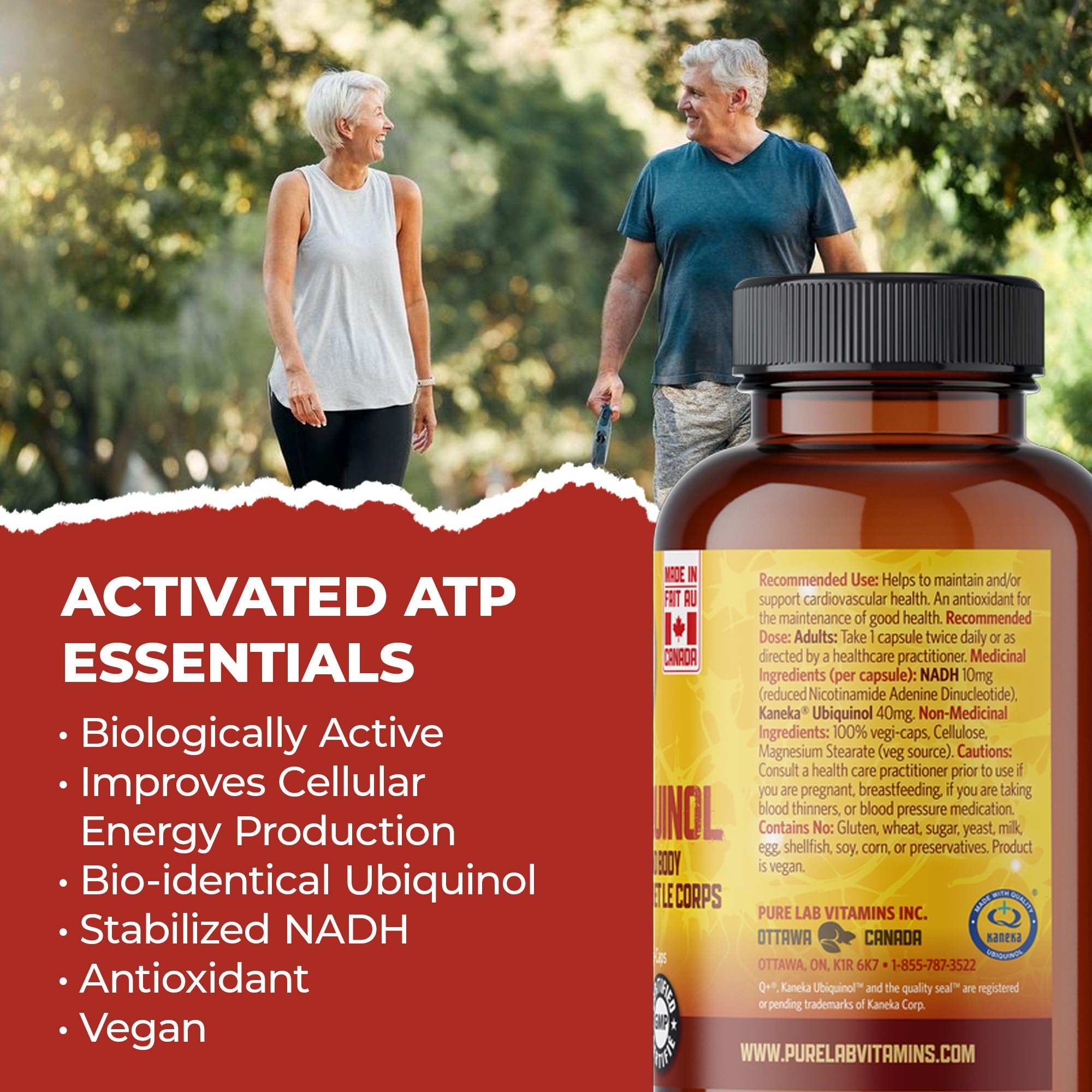 Pure Lab Vitamins | NADH Nicotinamide Adénine Dinucléotide + CoQ10 Ubiquinol