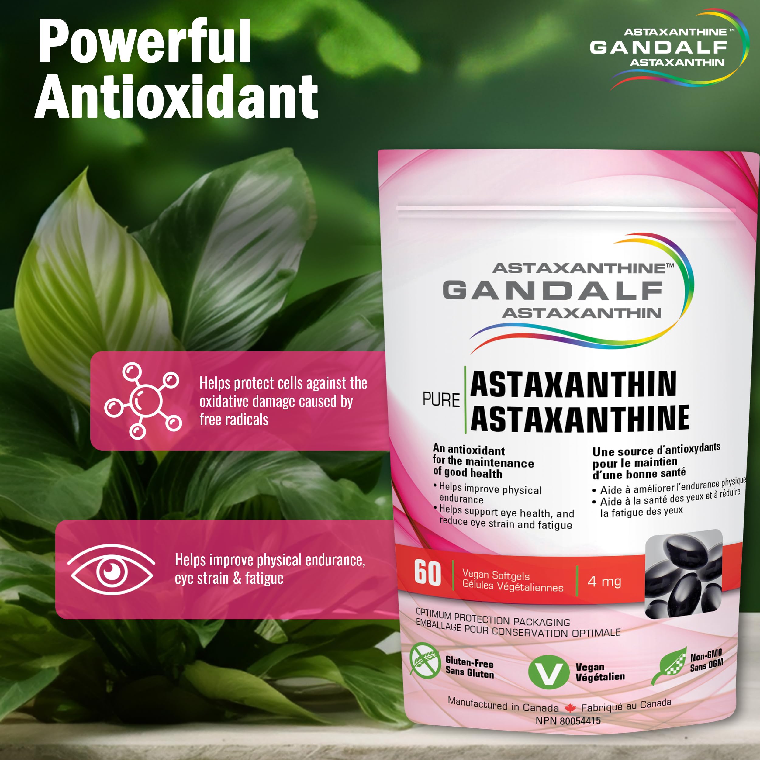 Gandalf Astaxanthine 4 mg, 60 gélules végétaliennes, cure de 30 jours – Complément pour la vision et le bien-être des articulations, favorise le confort oculaire et la souplesse, formule antioxydante, cultivé et fabriqué au Canada, sans OGM
