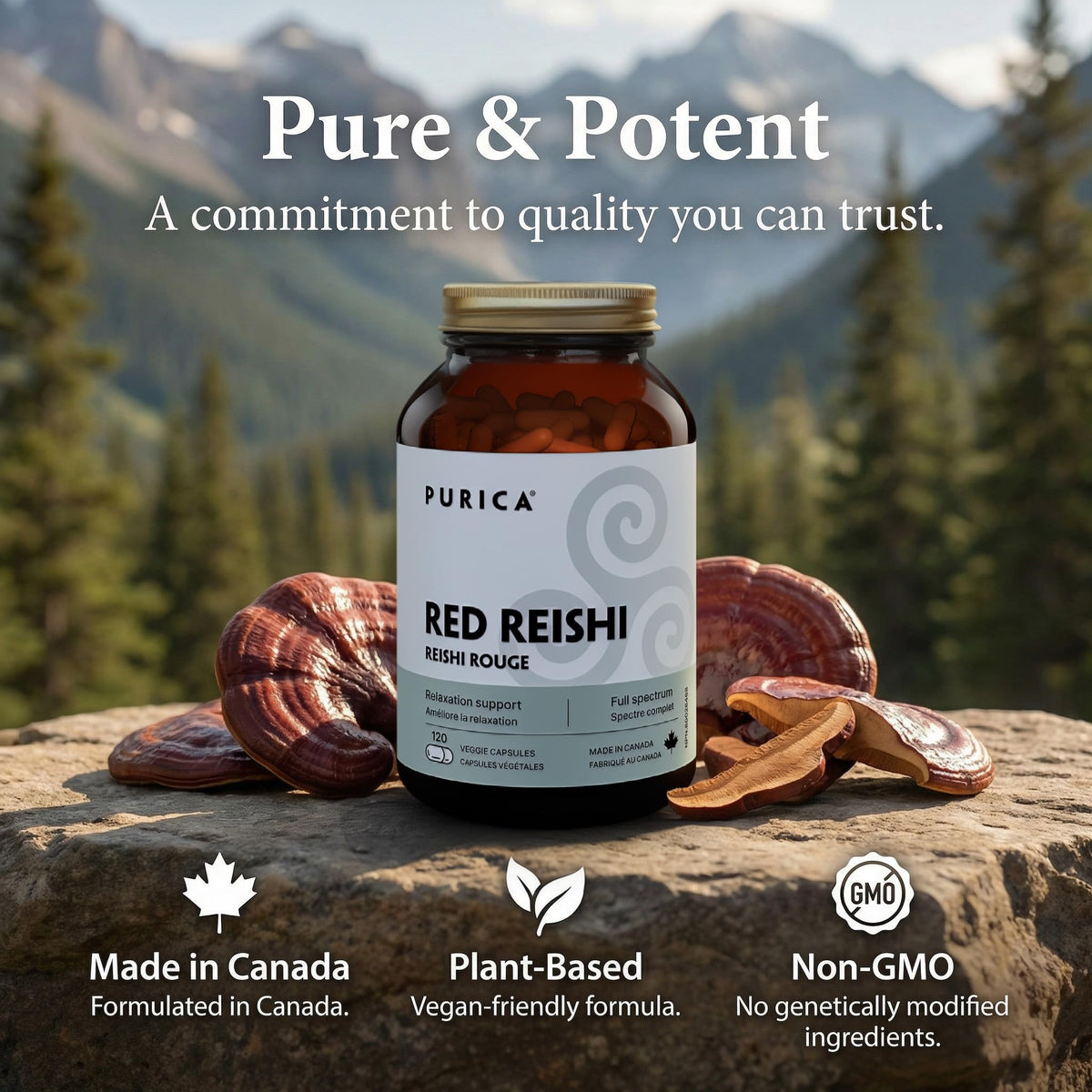 PURICA Certified Organic Reishi Mushroom Capsules, Micronized, 120 Capsules
