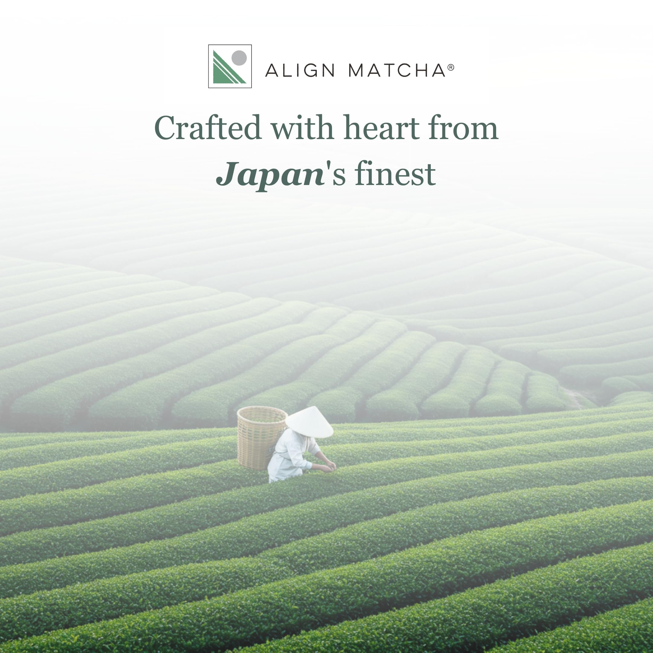 ALIGN MATCHA Matcha Cérémonial Biologique ‚Äî Ichibancha (Première récolte de thé) rituel apaisant