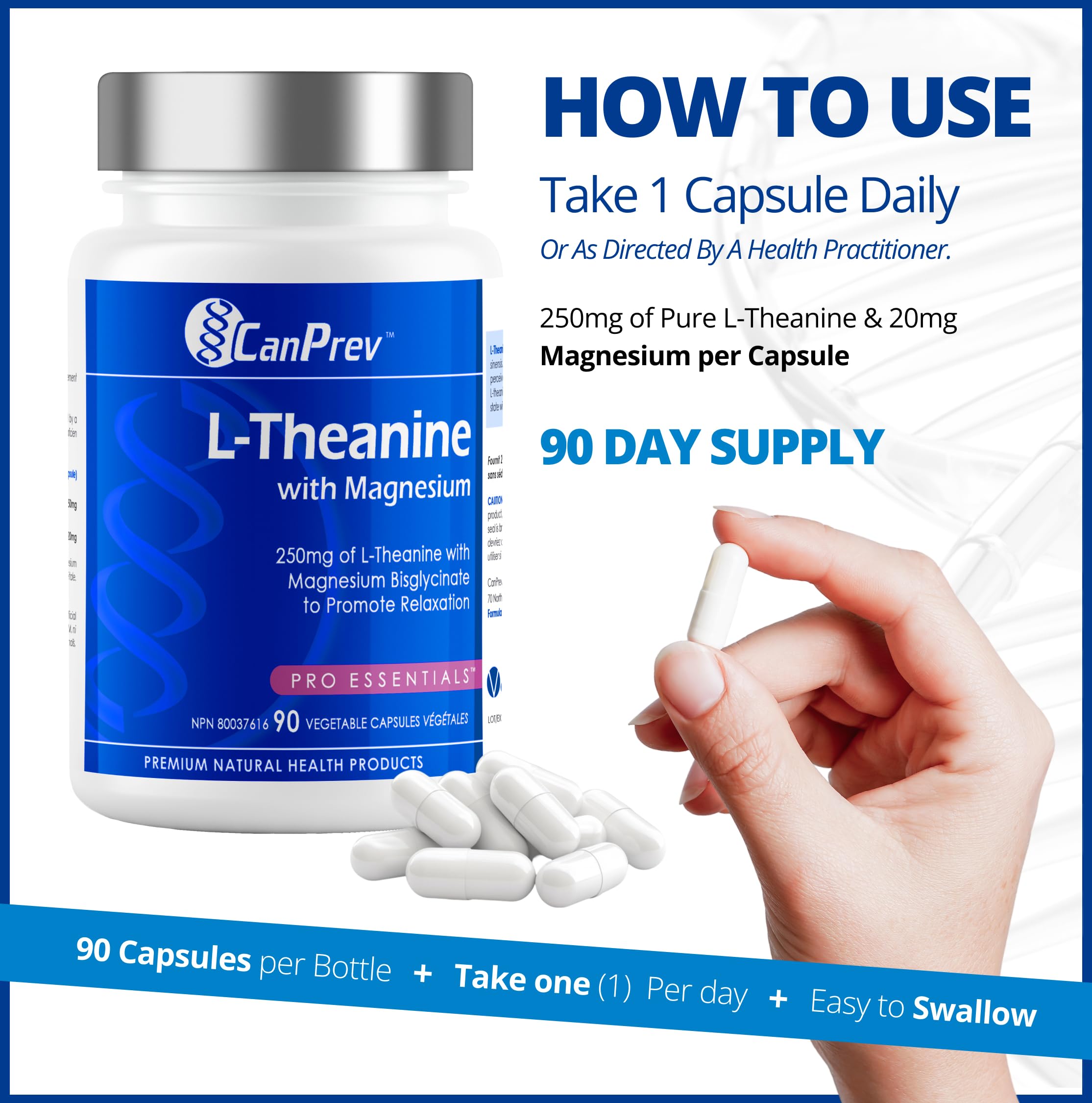 CanPrev L-Théanine et Magnésium, 90 capsules, approvisionnement de 90 jours - Favorise la relaxation et le calme - Sans somnolence - Mélange synergique pour la gestion du bien-être - Végétalien, sans OGM et sans gluten