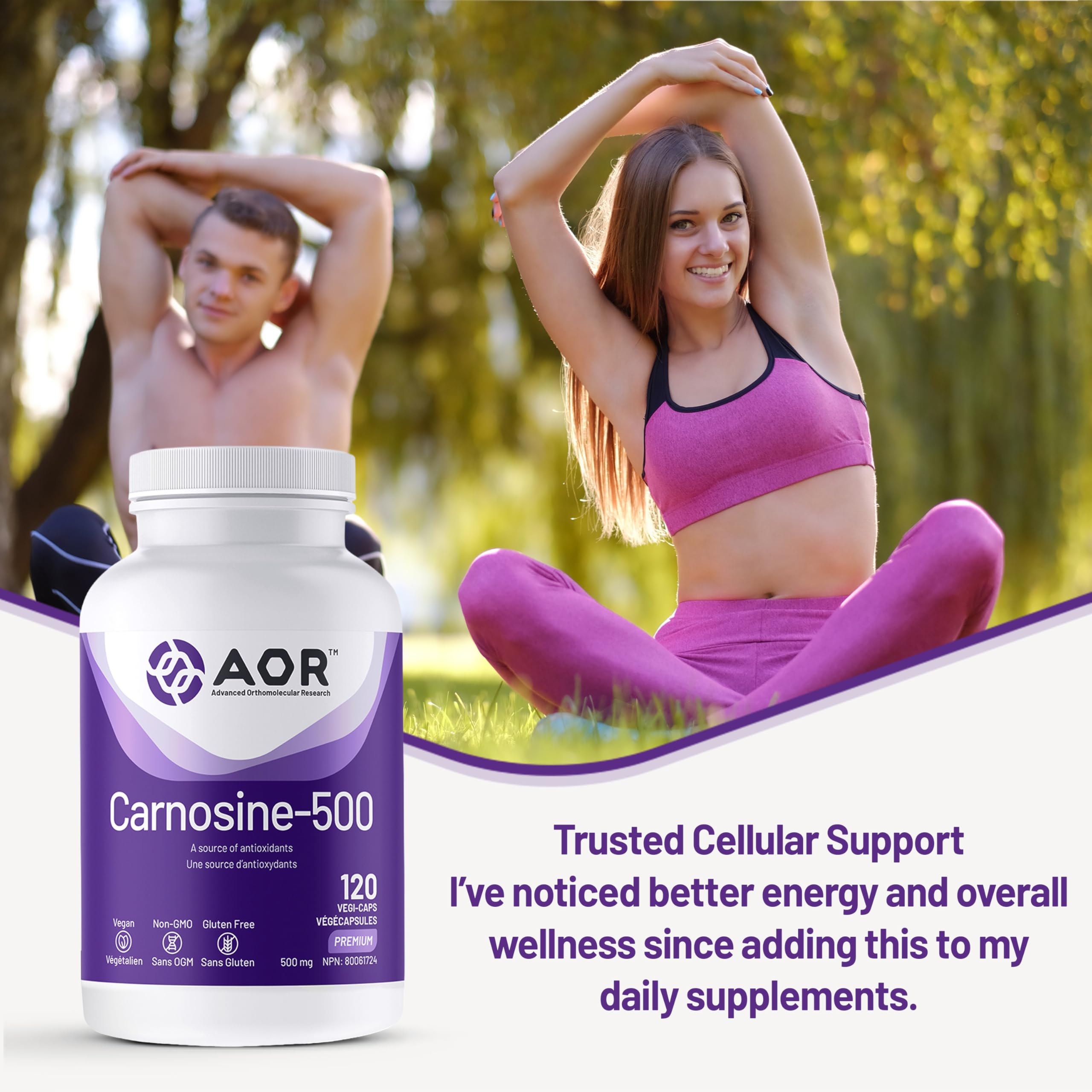 AOR Carnosine Supplément 500 mg Acides Aminés - Soutien Antioxydant pour la Fonction Cellulaire, la Vitalité Musculaire et le Bien-être Cognitif - Formule Végétalienne, sans OGM et sans Gluten