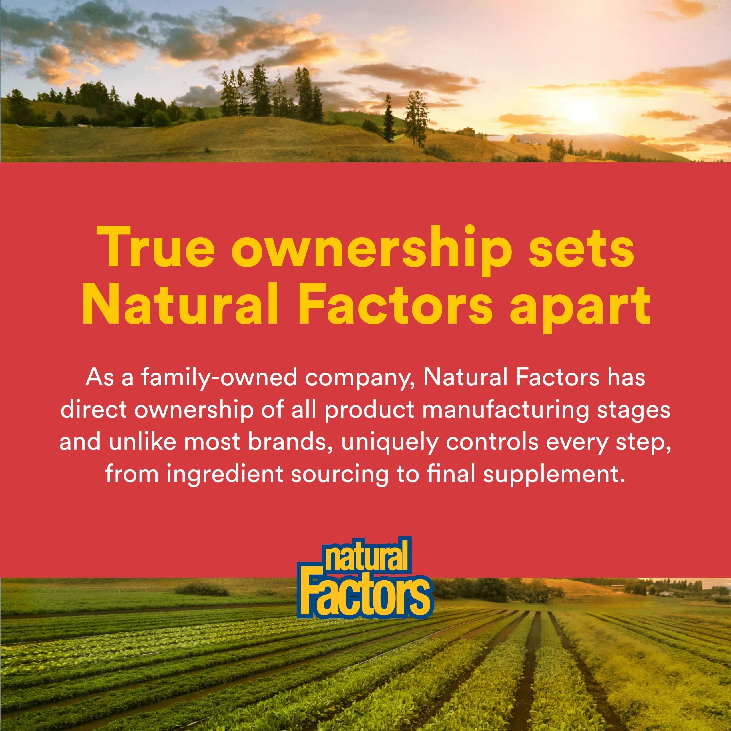 Natural Factors - NEM® Natural Eggshell Membrane 500mg, 30 Capsules