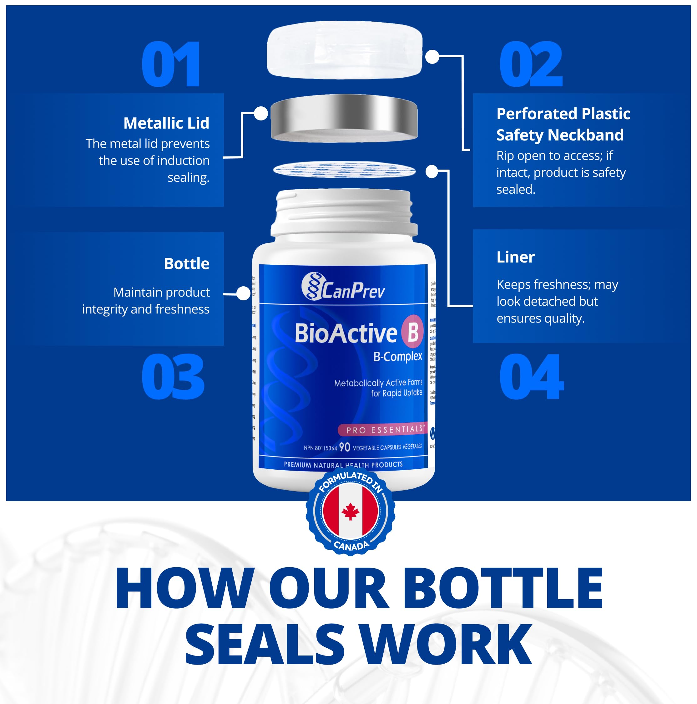 CanPrev Bioactive B