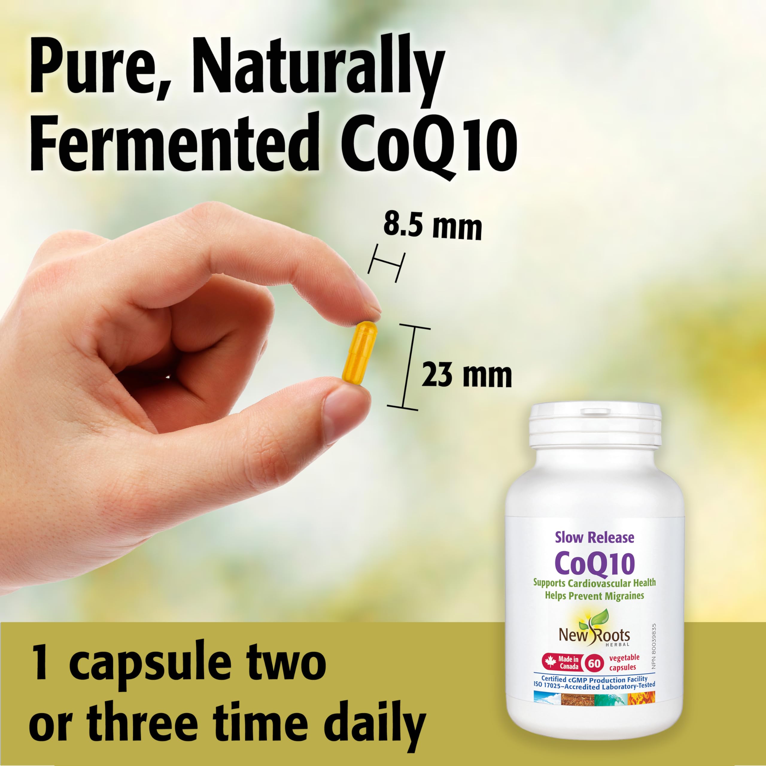 New Roots Herbal - CoQ10 Supplement (100mg) Slow Release Capsules - Ubiquinol Coenzyme Q10 (60 Capsules)