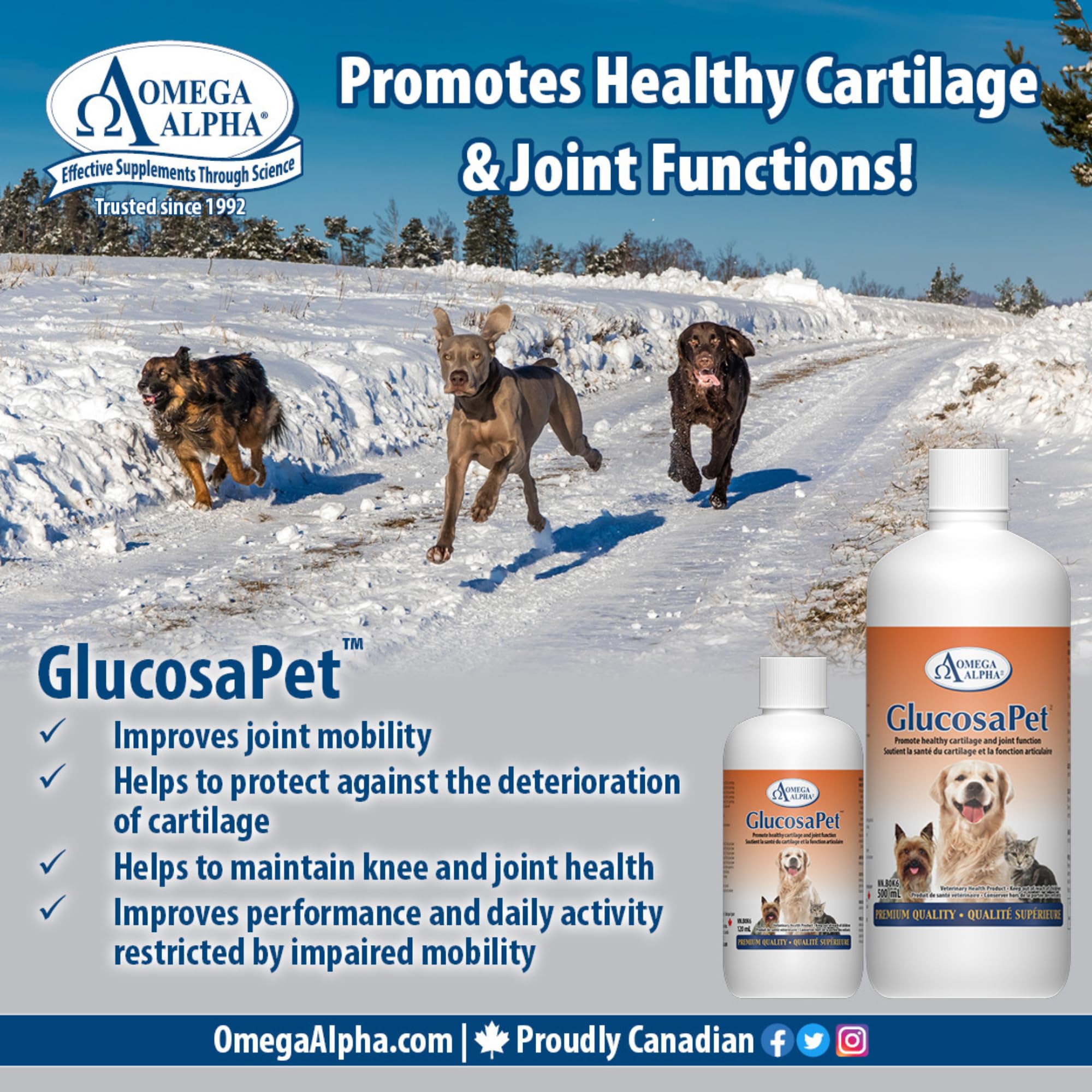 Omega Alpha GlucosaPet, supplément liquide pour chiens et chats 1 litre avec glucosamine chondroïtine MSM, soutient le confort articulaire, la mobilité, la flexibilité et le cartilage