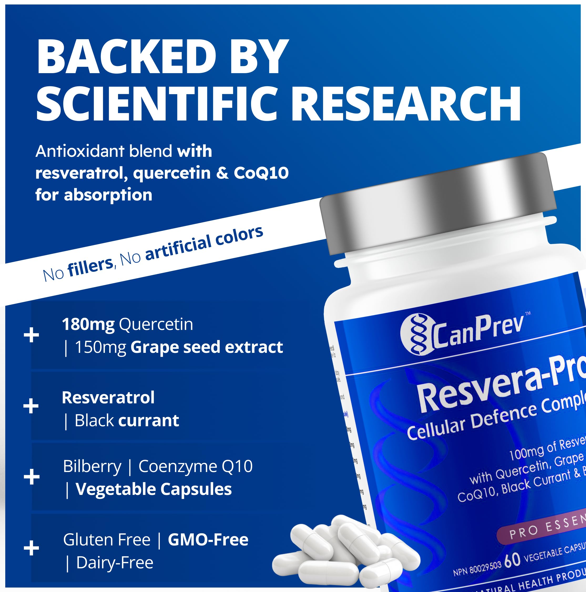 CanPrev Resvera-Pro Resvératrol, 60 capsules végétales Approvisionnement de 60 jours - Végane, sans OGM et sans gluten - Coenzyme Q10 - 100mg de resvératrol avec quercétine, pépins de raisin, cassis et myrtille - Un mélange d'antioxydants