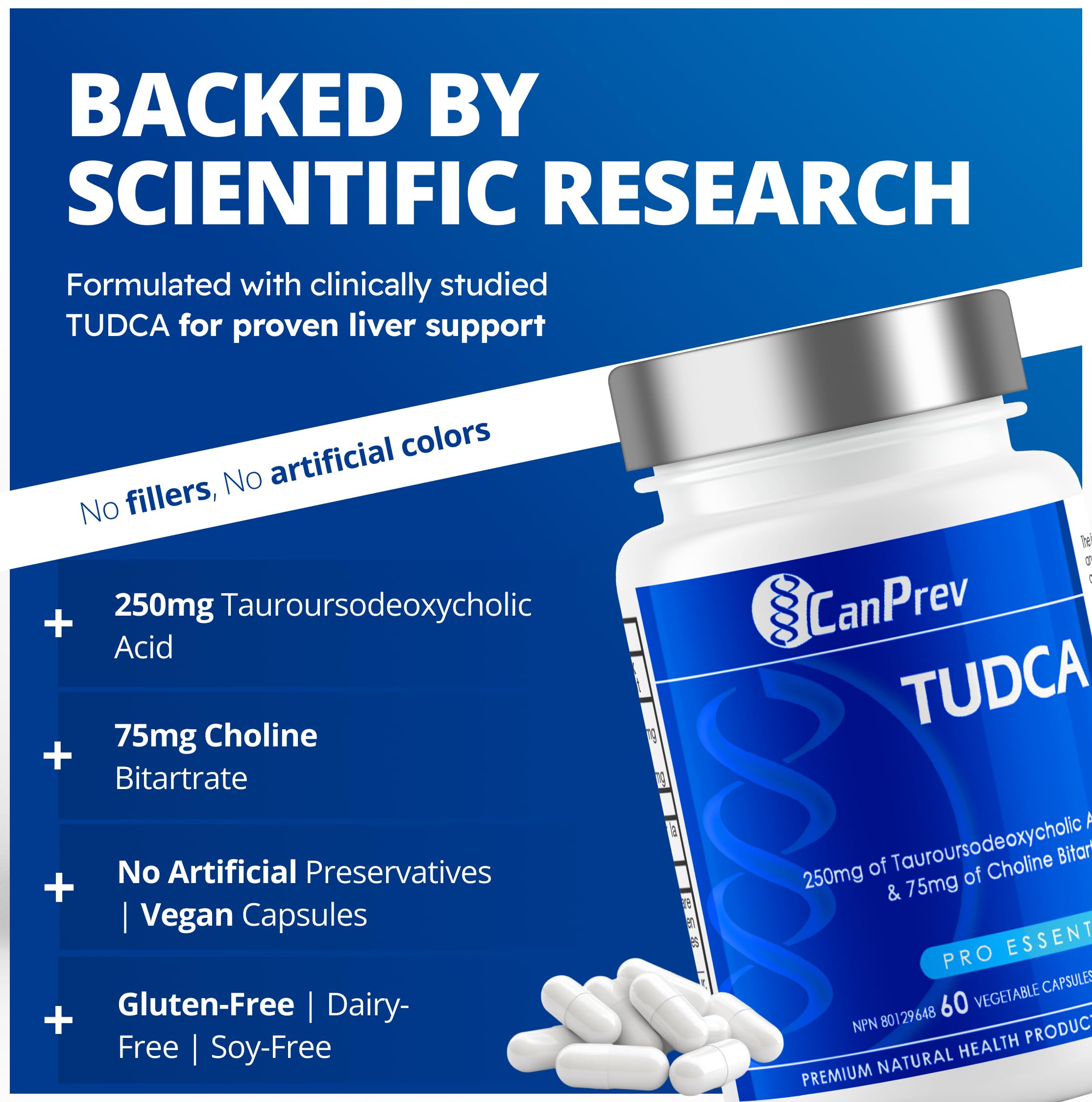CanPrev Supplément TUDCA 250mg + Choline 75mg, 60 gélules pour 30 jours, favorise la santé et la fonction hépatiques - Formulé pour le bien-être et l'équilibre digestif - Formule de sels biliaires Belly Aid pour le soutien digestif
