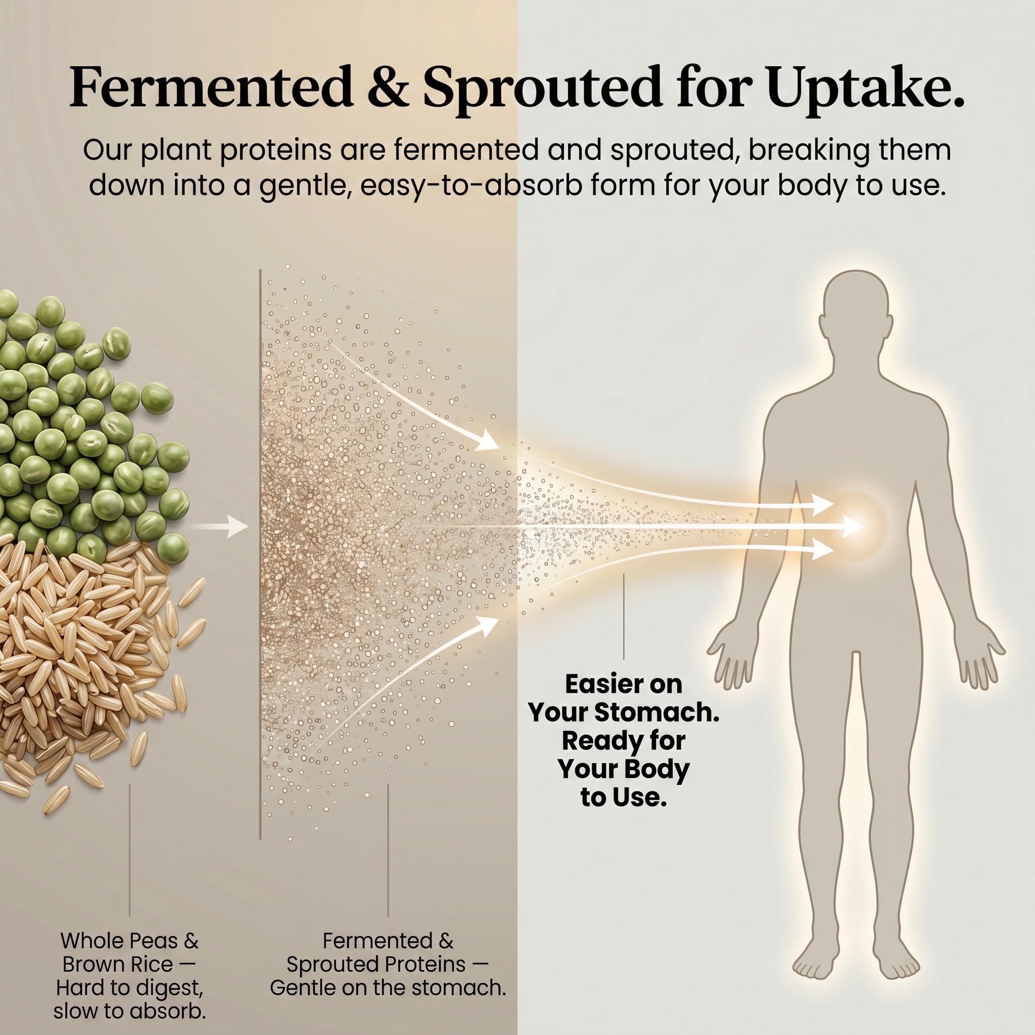 PURICA Plant Isolate Protein +7 Mushrooms & Ashwagandha Powder