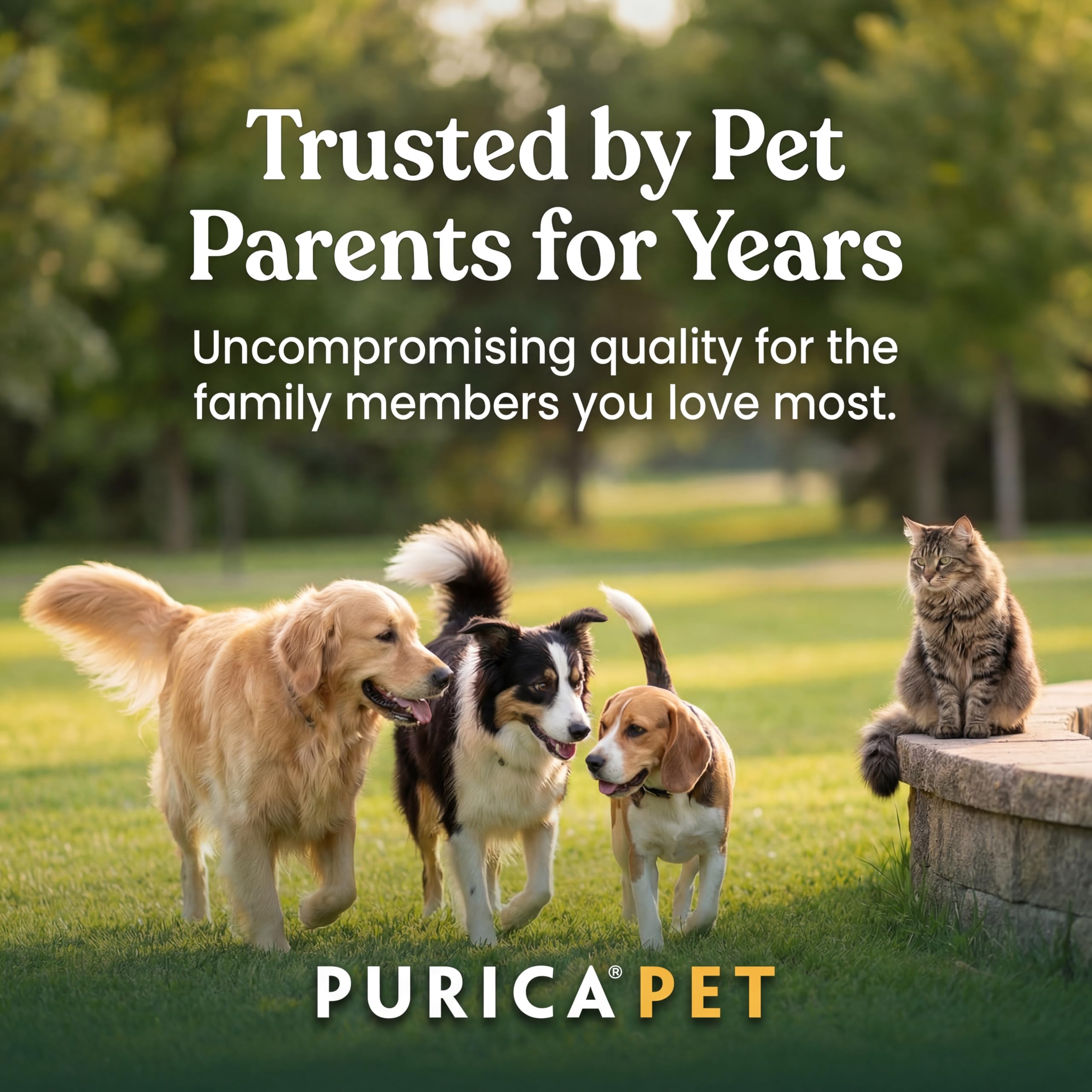 PURICA Pet Recovery