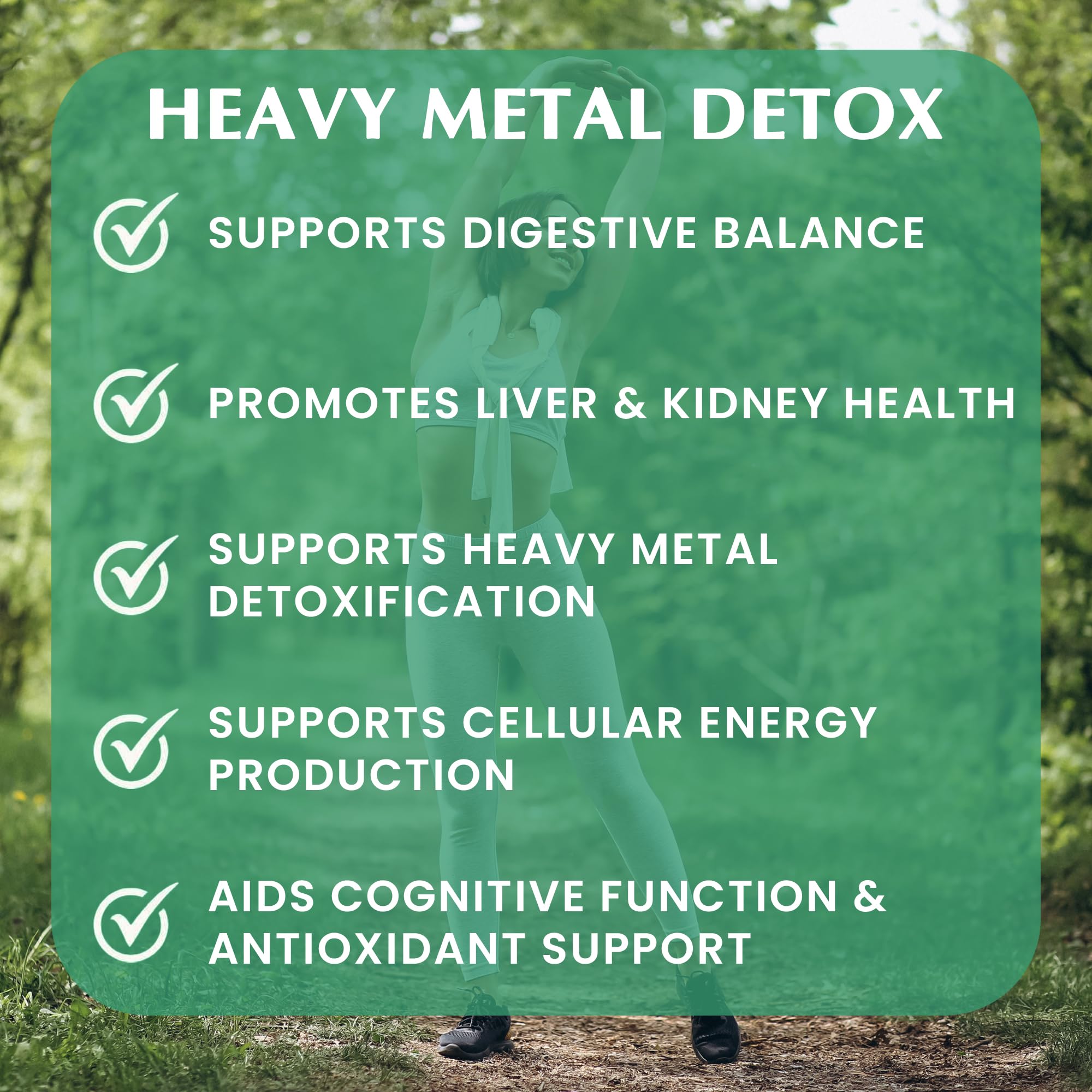 Provita Heavy Metal Detox Supplement with EDTA, Cilantro, NAC, L-Cysteine and Glutathione | Supports Natural Detox Pathways, Antioxidant Defense, and Cellular Health | Vegan, Non-GMO, Delayed Release Capsules | 90 Count