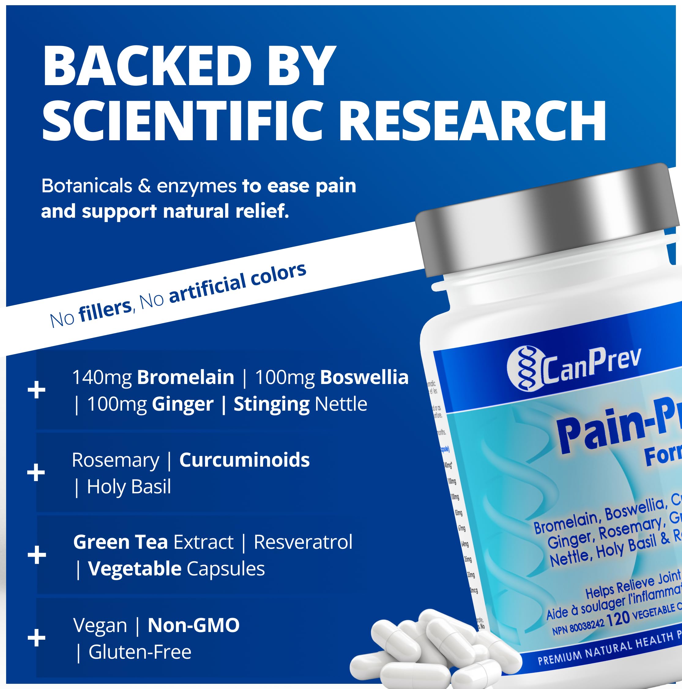 CanPrev Formule Pain-Pro, 120 V-Capsules Véganes - Supplément de Curcumine et Bromélaïne pour le Confort des Articulations et des Muscles avec Boswellia, Gingembre, Basilic Sacré et Extrait de Thé Vert - Soutien à la Récupération