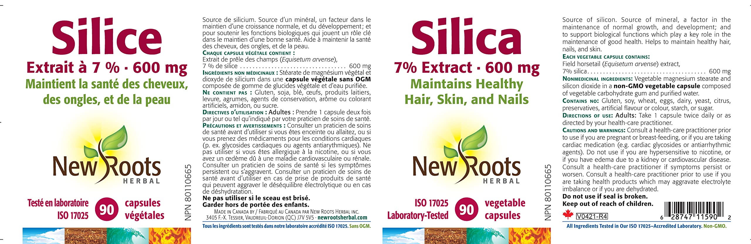 New Roots Herbal Silica 7% Extrait 600mg, 90 capsules végétales (approvisionnement de 45 jours) - Extrait de prêle standardisé, favorise la santé des cheveux, de la peau, des ongles et des os, maintient les tissus conjonctifs