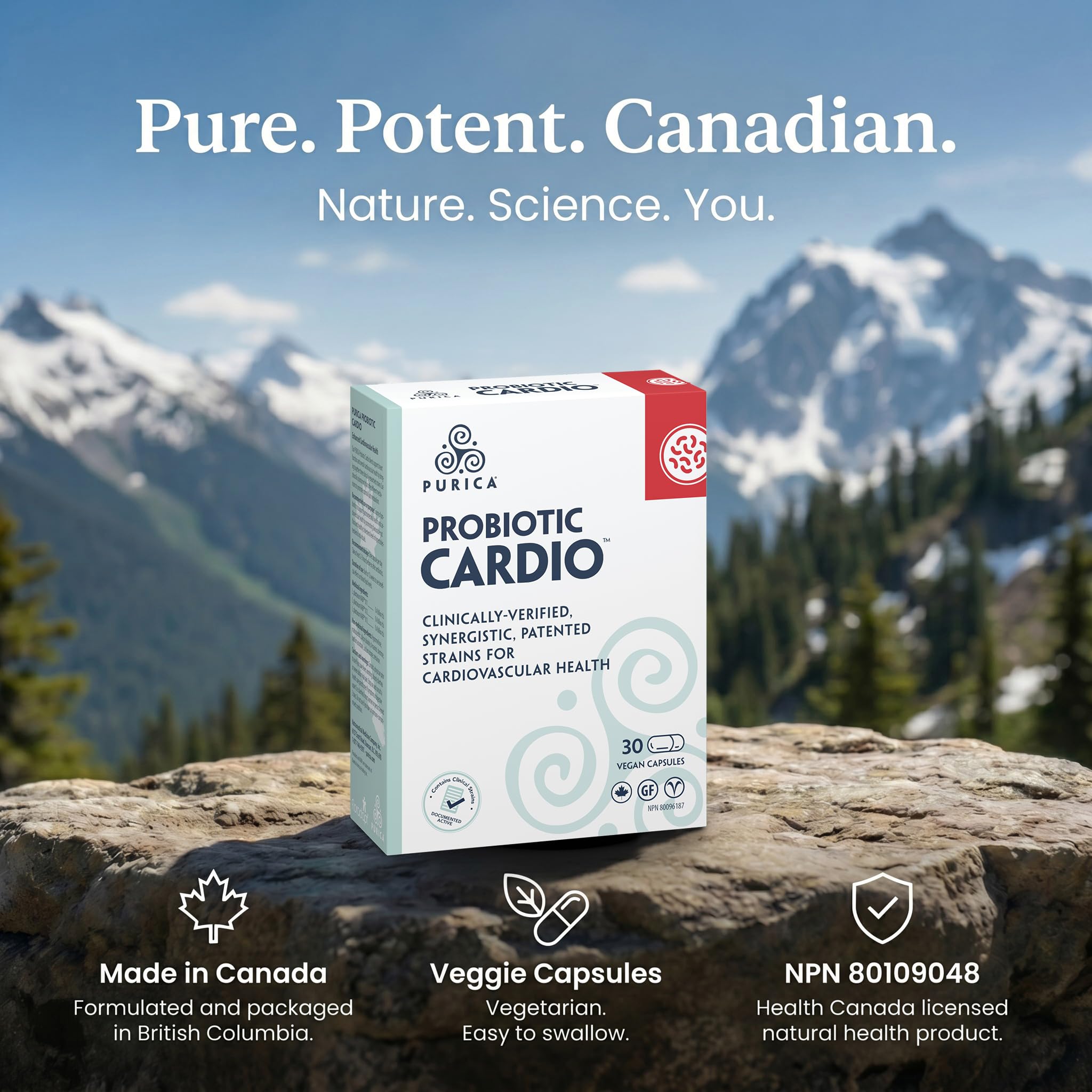 Purica Probiotic Cardio Formula 30 Veggie Capsules, Heart Function Support and Digestive Wellness with KABP Probiotic Strains 30 Day Supply For Adults