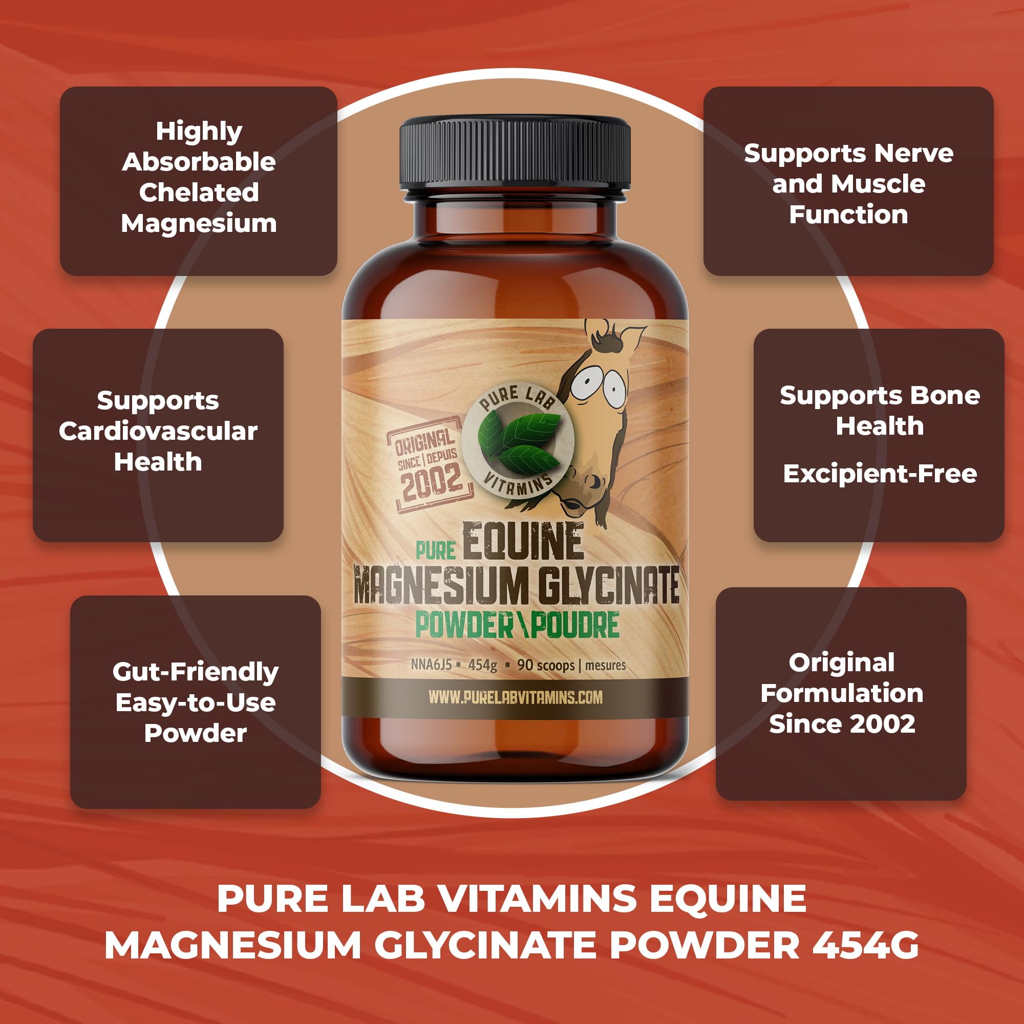 Pure Lab Vitamins Magnésium glycinate équin en poudre – 454 g