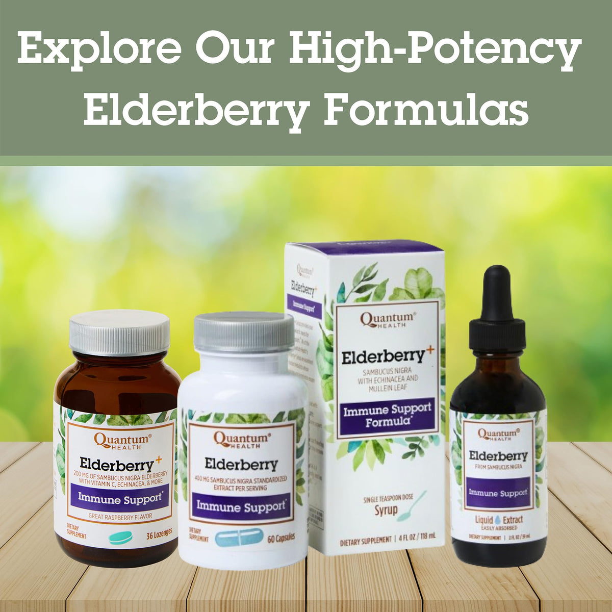 Quantum Health - Elderberry Standard Extract 60 Capsules