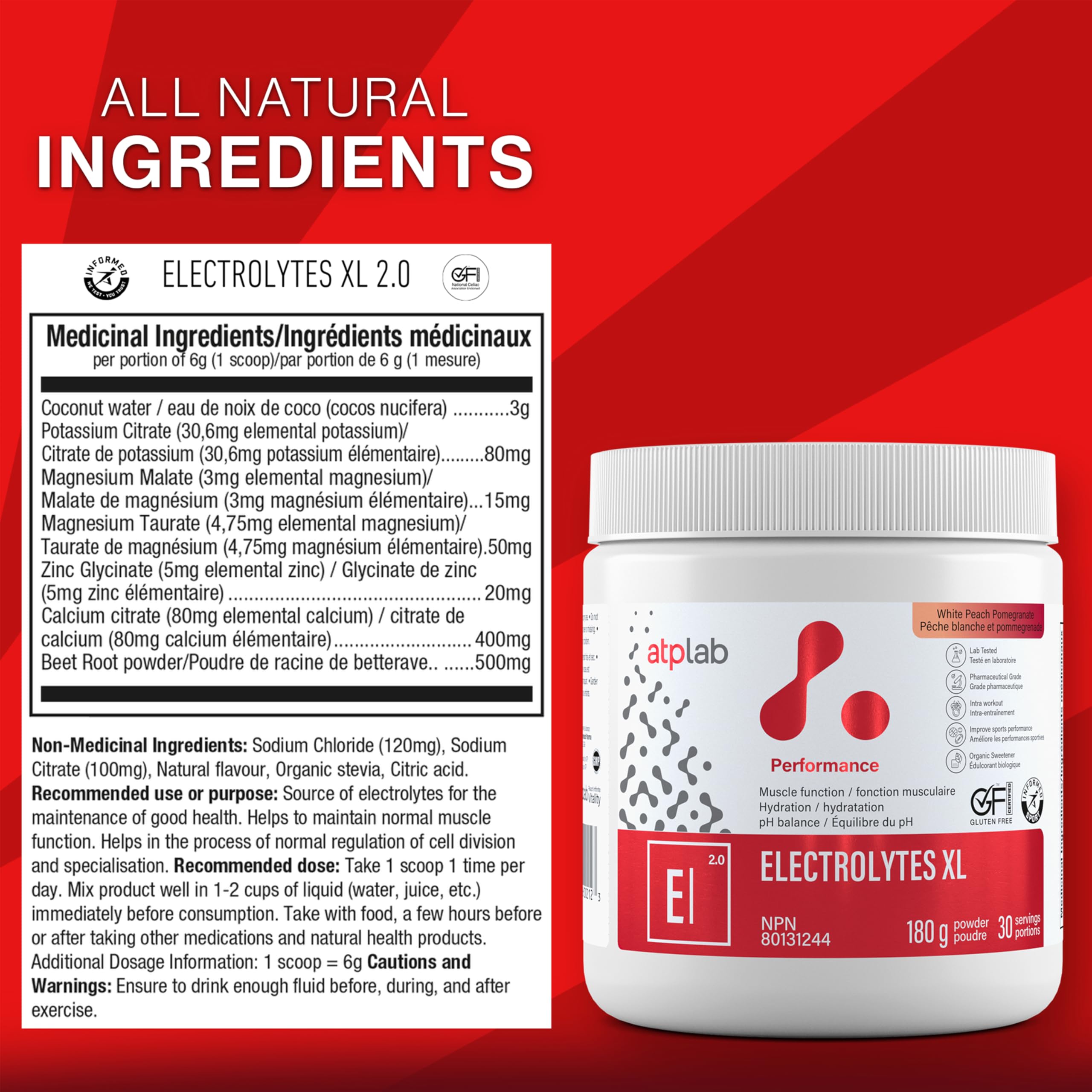 ATP LAB - Électrolytes XL - 180g
