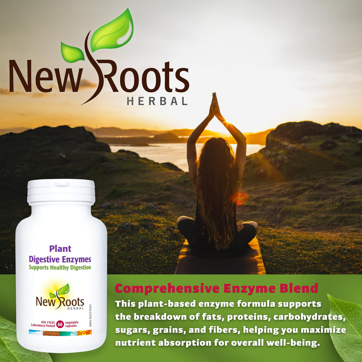 New Roots Herbal Digestive Enzymes, Lactase, Papaya Enzymes, 60 Capsules