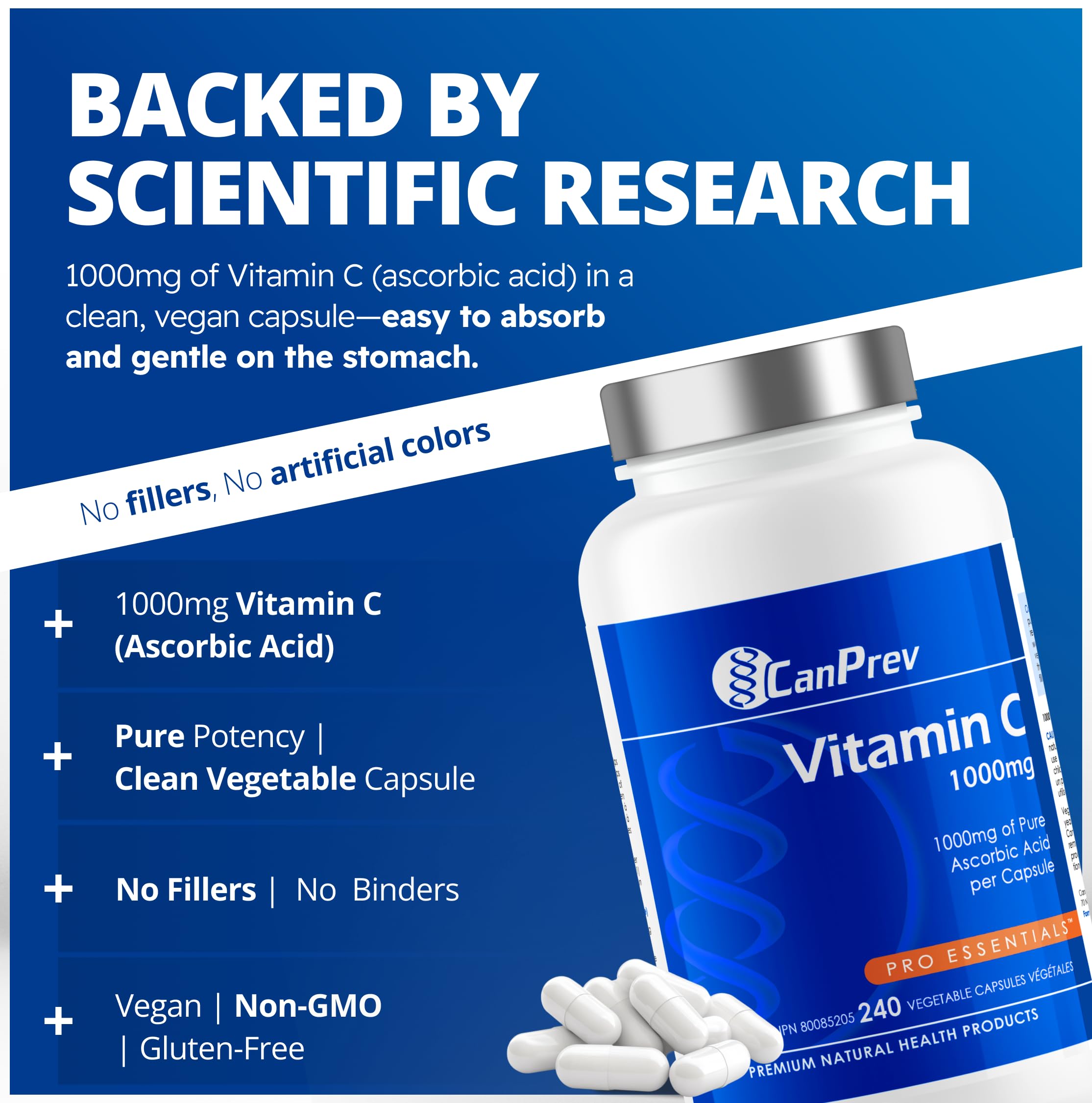 CanPrev Vitamin C 1000mg 240 Veg Caps 240-Day Supply, Daily Antioxidant Support, Helps Maintain Strong Bones, Teeth & Gum, Pure Ascorbic Acid, Gentle on Digestion - Vegan, Gluten, Dairy and Soy Free