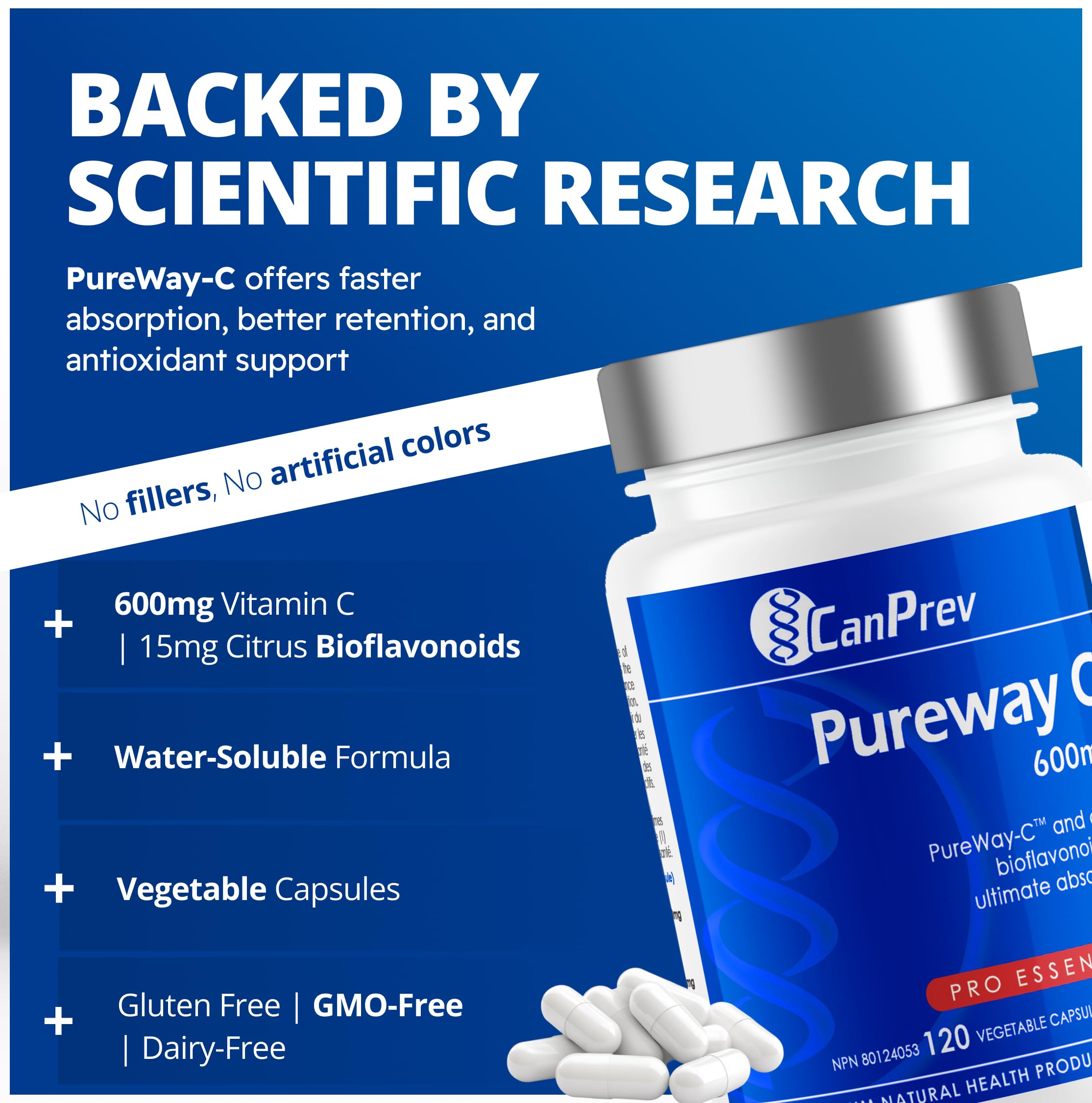 CanPrev Pureway C 600mg, 120 gélules (approvisionnement de 120 jours) - Vitamine C (acide ascorbique) à absorption améliorée avec bioflavonoïdes d'agrumes - Maintien de la santé des os, des dents et des gencives - Végétalien, sans OGM et sans gluten