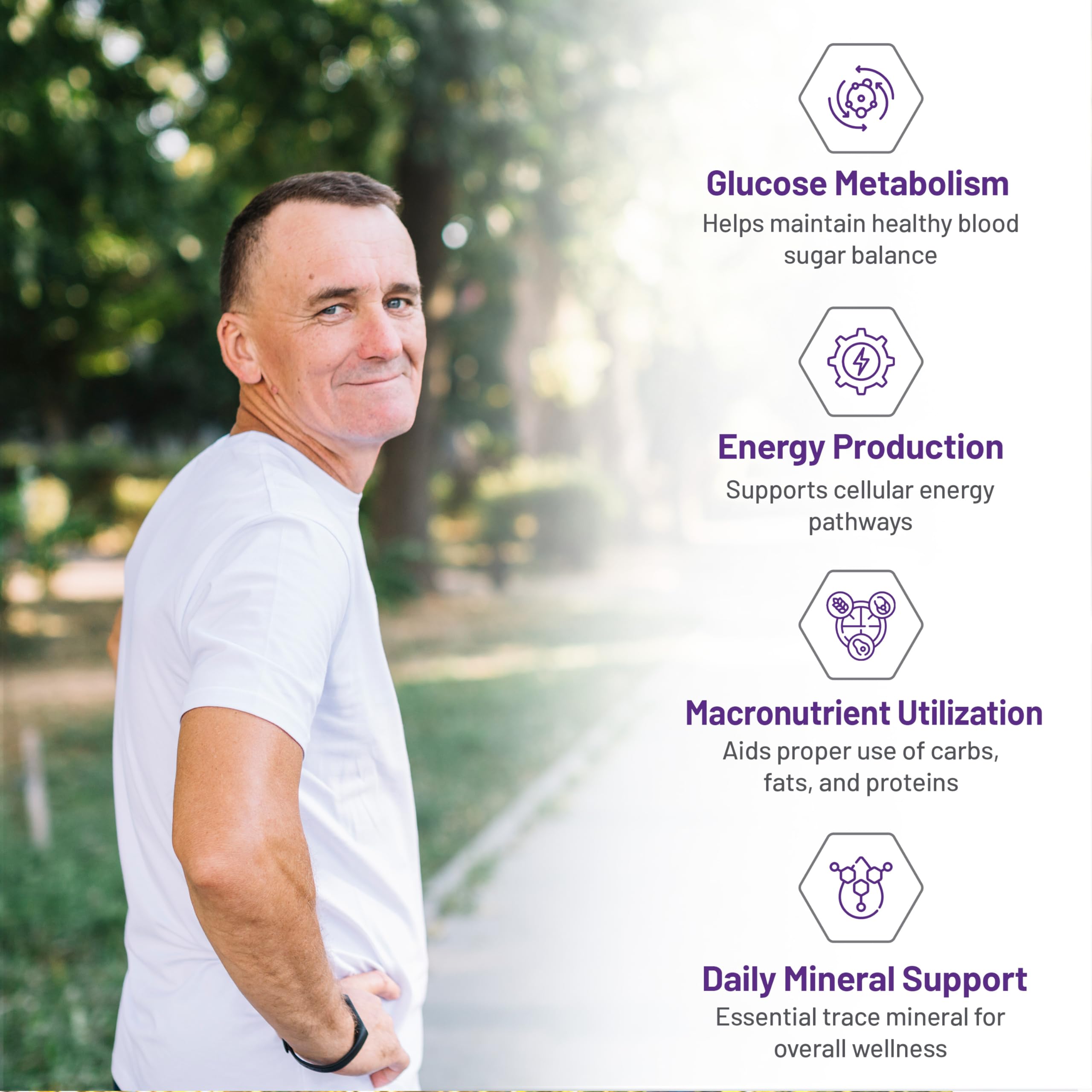 AOR Picolinate de Chrome 600mcg 90 gélules - 90 jours d'approvisionnement - Favorise un métabolisme équilibré du glucose et la production d'énergie - Supplément de chrome, oligo-élément pour un soutien nutritionnel et un métabolisme sain