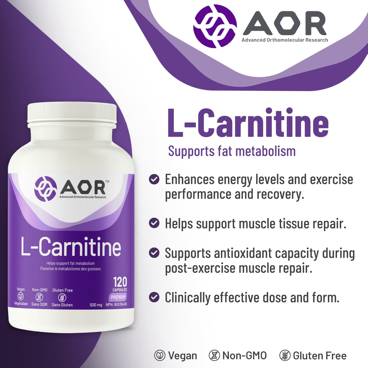 AOR L Carnitine 500mg Capsules, Muscle Recovery, Gluten Free, 120 Capsules