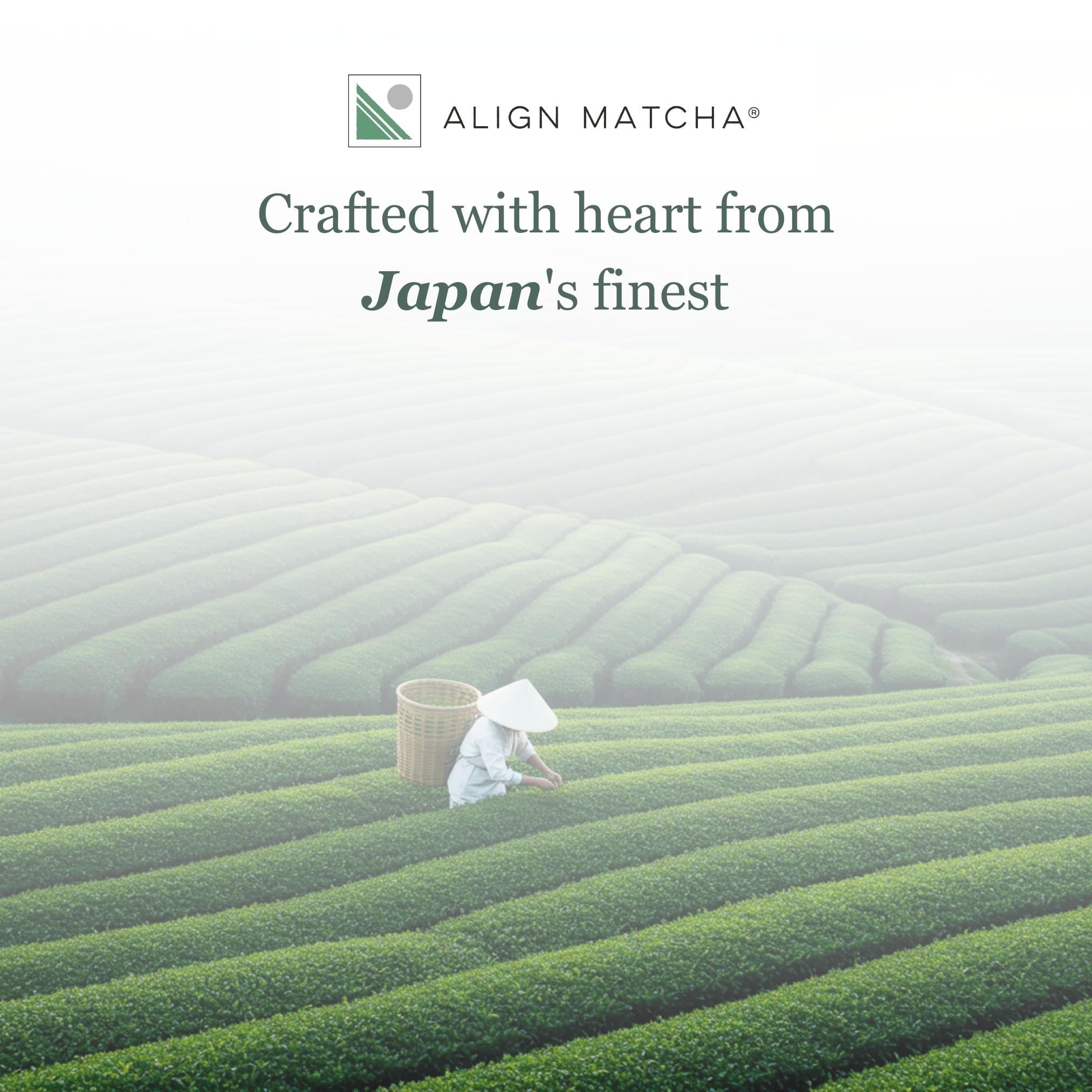 ALIGN MATCHA Ceremonial Matcha ‚Äî Calm ritual & refined cup - Ichibancha (First Tea) from Japan, 50 g (‚âà42 servings)