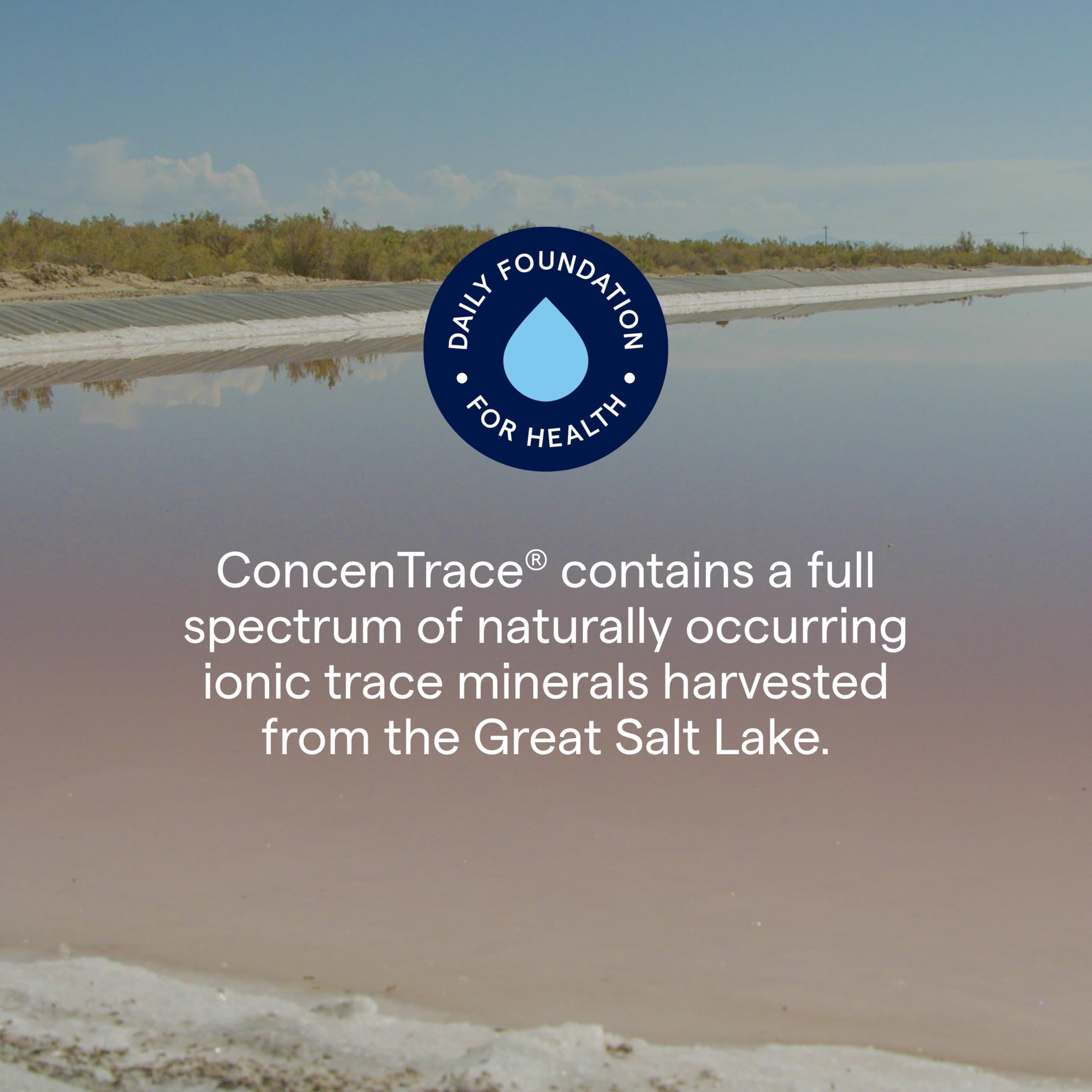 Trace Minerals ConcenTrace Drops | 240 ML, 96 Day Supply | Full Spectrum Minerals | Ionic Liquid Magnesium, Chloride, Potassium | Low Sodium | Energy, Electrolytes, Hydration