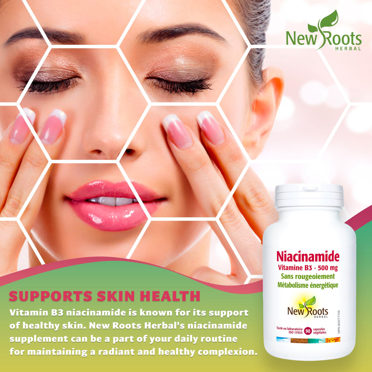 New Roots Herbal Niacinamide 500 mg, Niacin, Vitamin B3, 90 Veg Capsules