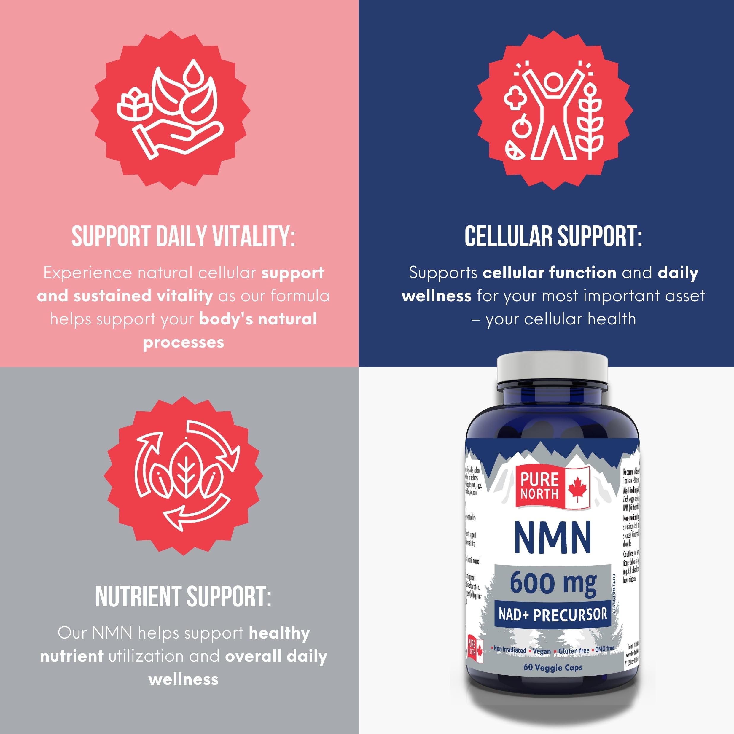 PURE NORTH NATURALS NMN 600mg, 60 Veggie Capsules, 30-Day Supply, Nicotinamide Mononucleotide for Enhanced Metabolic Function, Cellular Energy, and Cognitive Support, Non-GMO, Gluten, Dairy & Vegan
