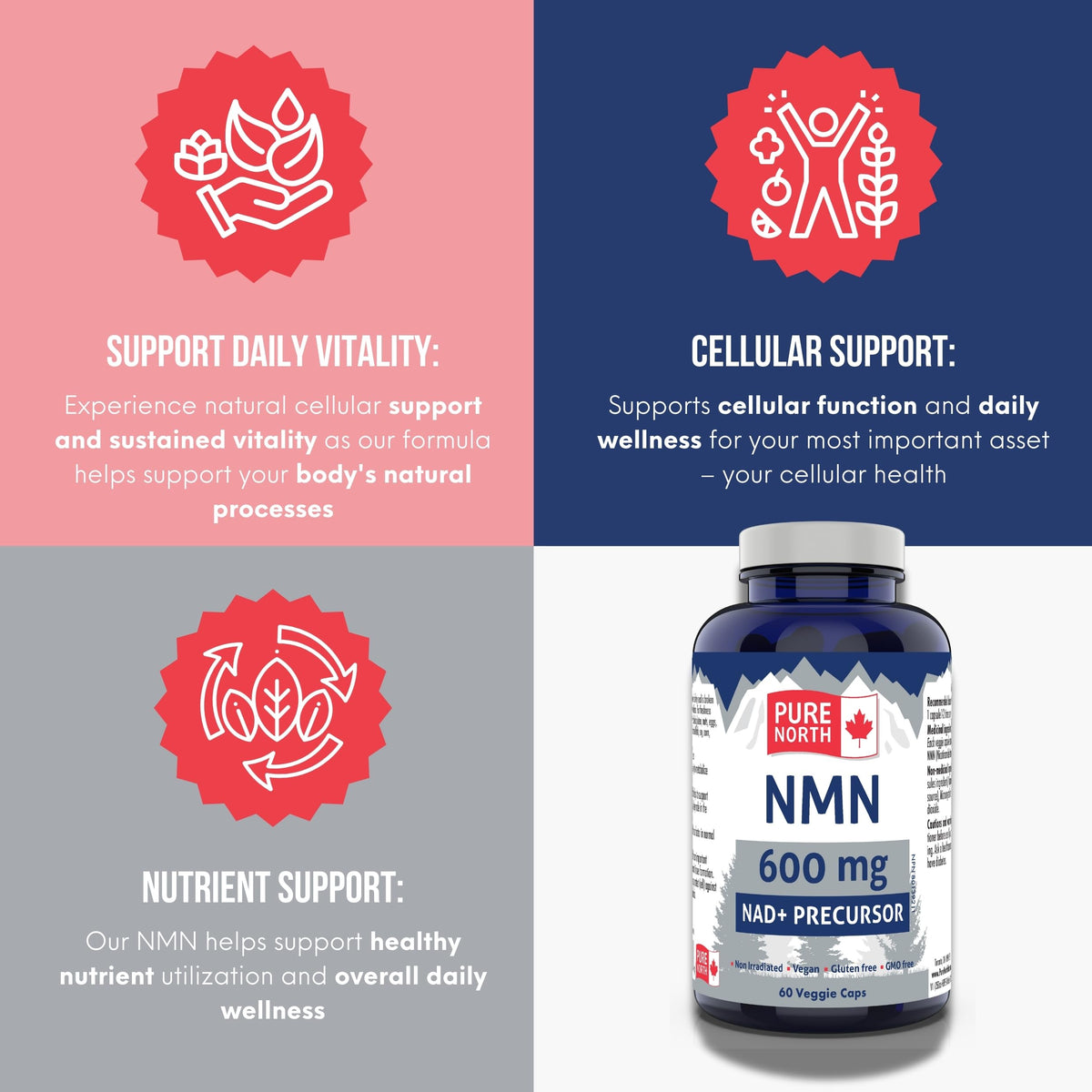 PURE NORTH NATURALS NMN 600mg, 60 Veggie Capsules, 30-Day Supply, Nicotinamide Mononucleotide for Enhanced Metabolic Function, Cellular Energy, and Cognitive Support, Non-GMO, Gluten, Dairy & Vegan