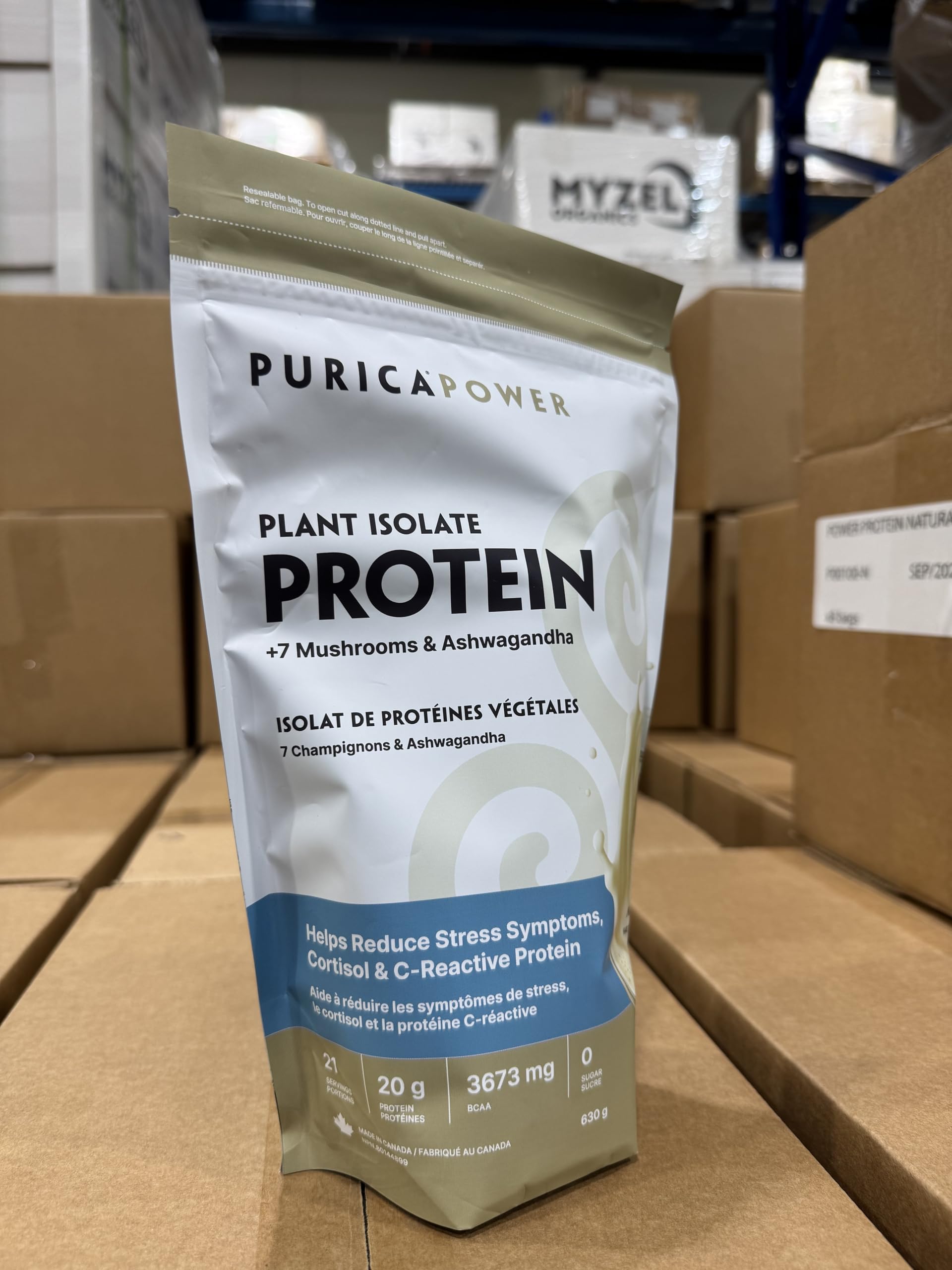 PURICA Plant Isolate Protein +7 Mushrooms & Ashwagandha Powder
