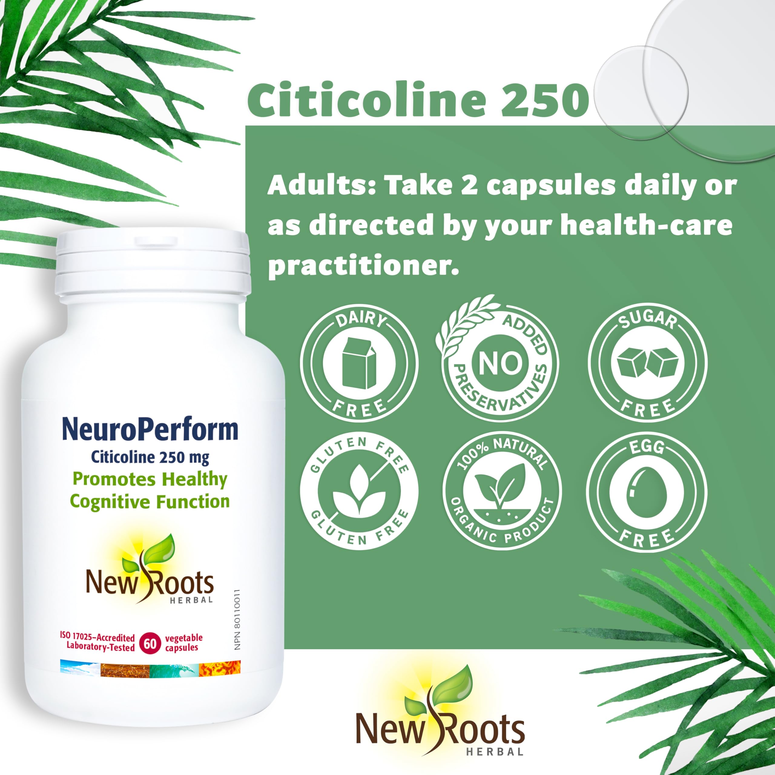 New Roots Herbal Neuro Perform, Citicoline 250 mg, Choline 14 mg, 60 gélules – Phosphatidylcholine, CDP Choline – Soutient les fonctions cognitives et la santé du cerveau, supplément idéal de choline pour la grossesse