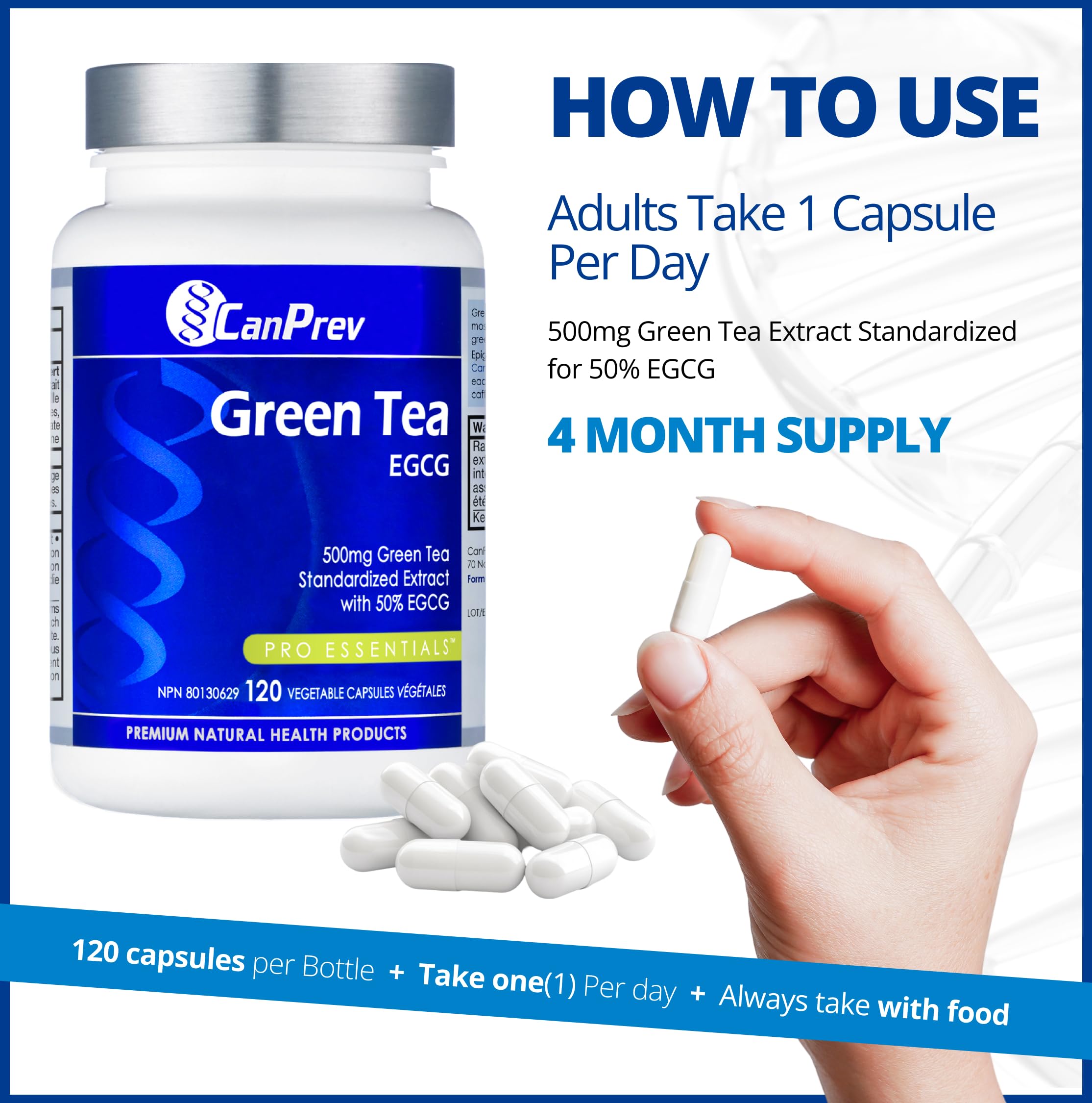CanPrev Thé vert 120 capsules végétales Approvisionnement de 4 mois, extrait de thé vert 500 mg avec EGCG, favorise le métabolisme, la santé cardiovasculaire, la fonction cognitive et le bien-être digestif, végétalien sans OGM, formule antioxydante