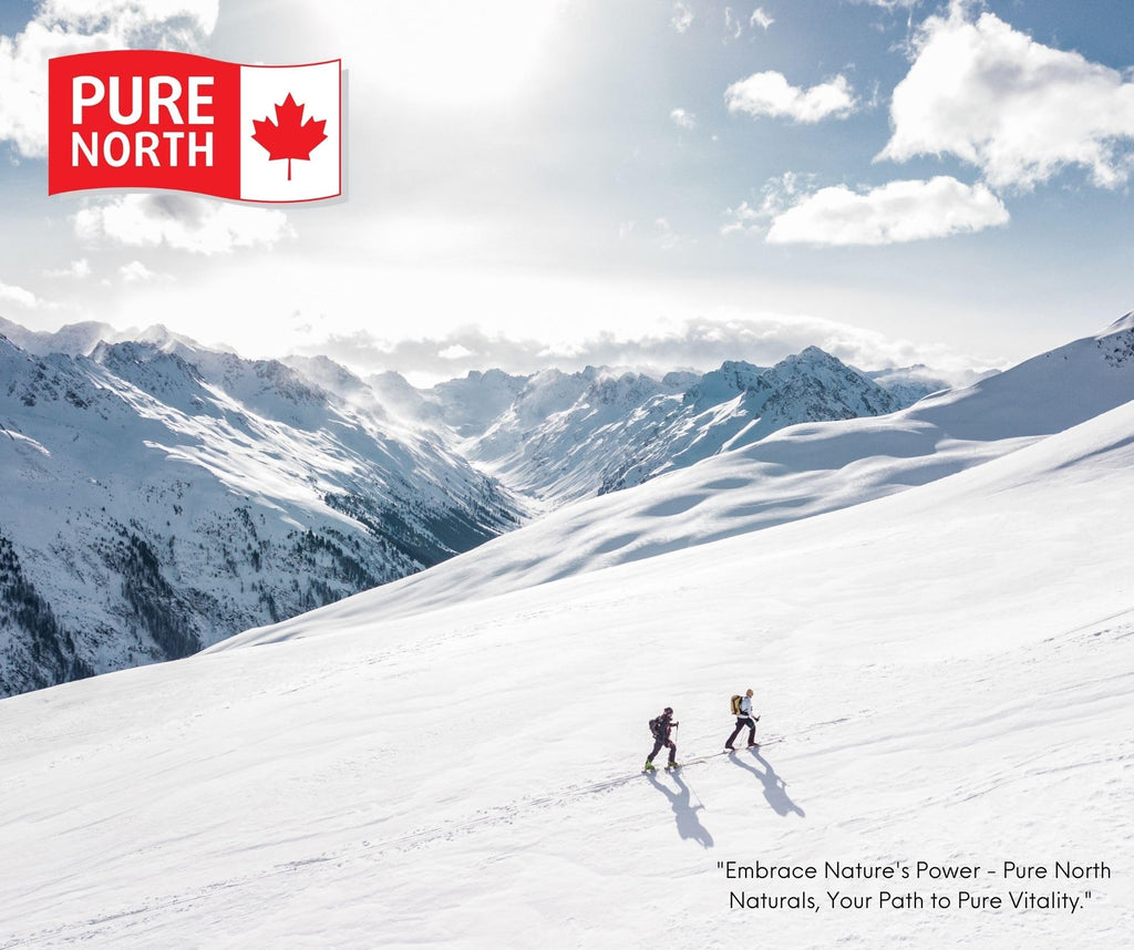 Pure North Naturals Biotin 10,000 mcg 90 Caps 90-Day Supply for Vibrant Growth & Radiance - Vegan, Non-GMO & Gluten-Free - Healthy Hair, Skin & Nails - Supports Brain Function & Cardiovascular System