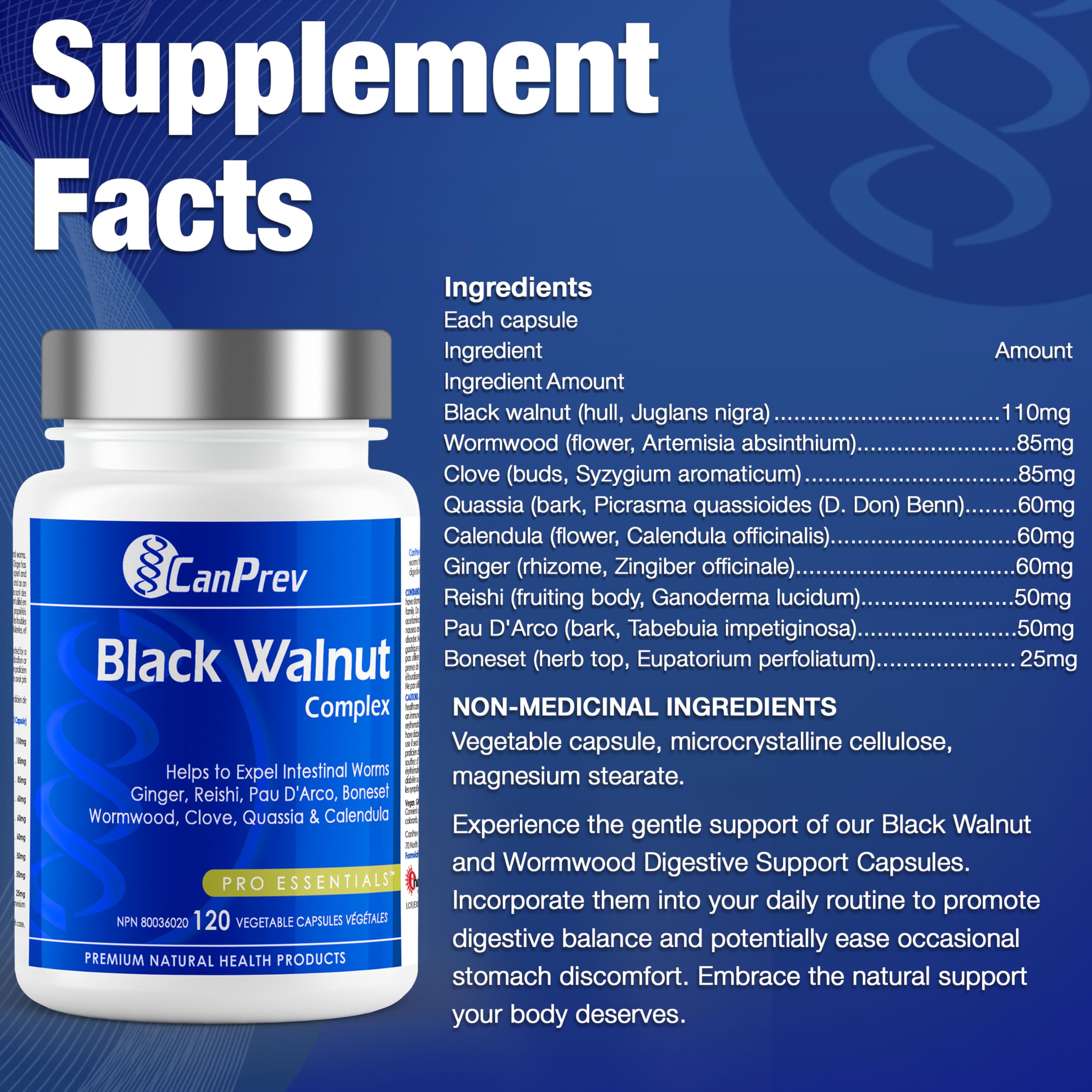 CanPrev - Complexe de Noyer noir, 120 capsules végétaliennes - Supplément de Noyer noir pour la santé digestive, le soulagement des maux d'estomac, le soulagement de l'indigestion et le soulagement de la diarrhée - Aide à expulser les vers intestinaux