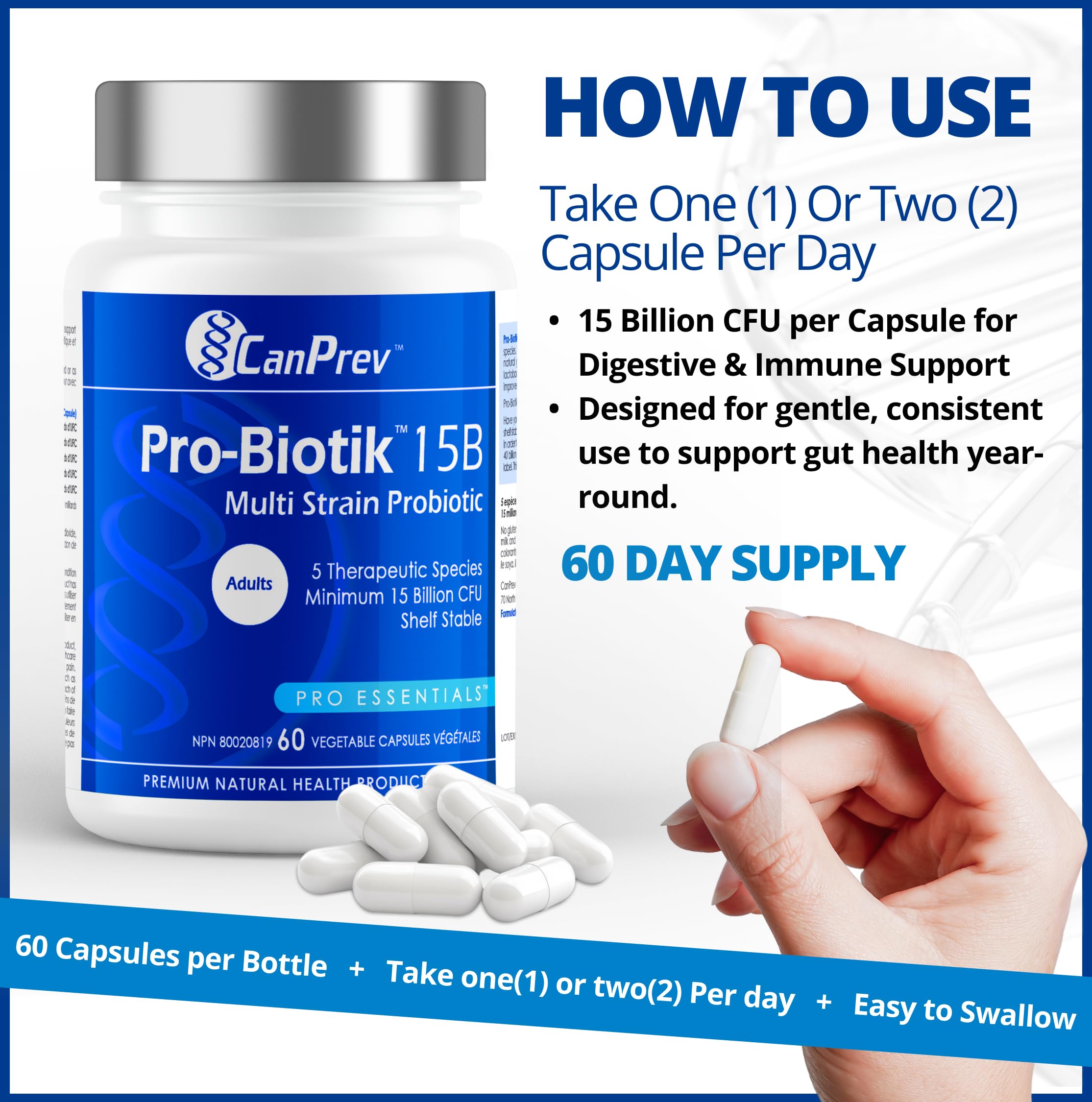 CanPrev Pro-Biotik 15 milliards UFC, 60 végicaps, 60 jours d'approvisionnement - Sans OGM et sans gluten - Formule avancée pour la santé intestinale avec 5 souches probiotiques - Favorise l'équilibre digestif et soulage les ballonnements