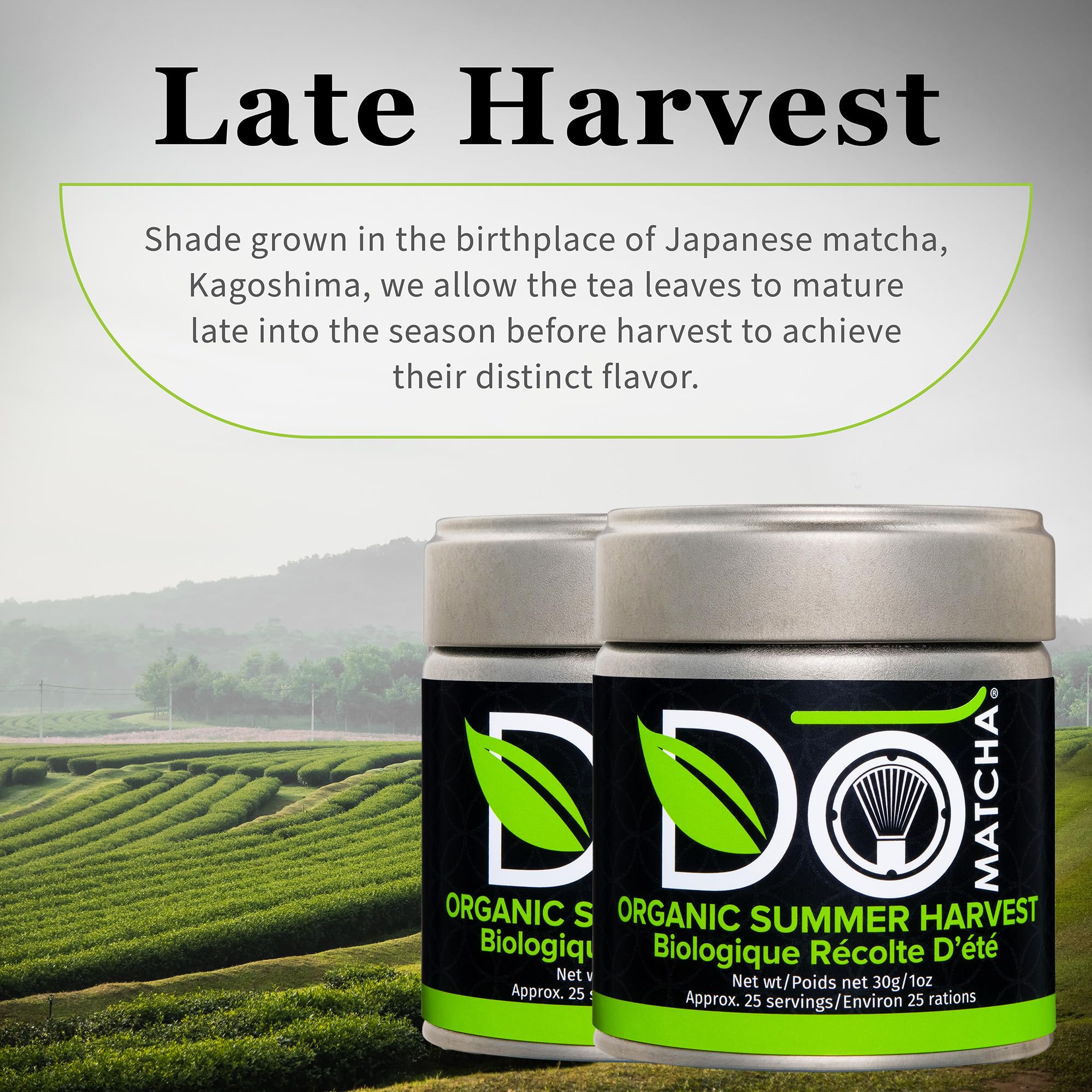 DoMatcha Récolte d'été - Poudre de thé vert matcha japonais pour smoothies, lattes, pâtisseries et créations culinaires - Riche en antioxydants, couleur verte éclatante, certifié casher