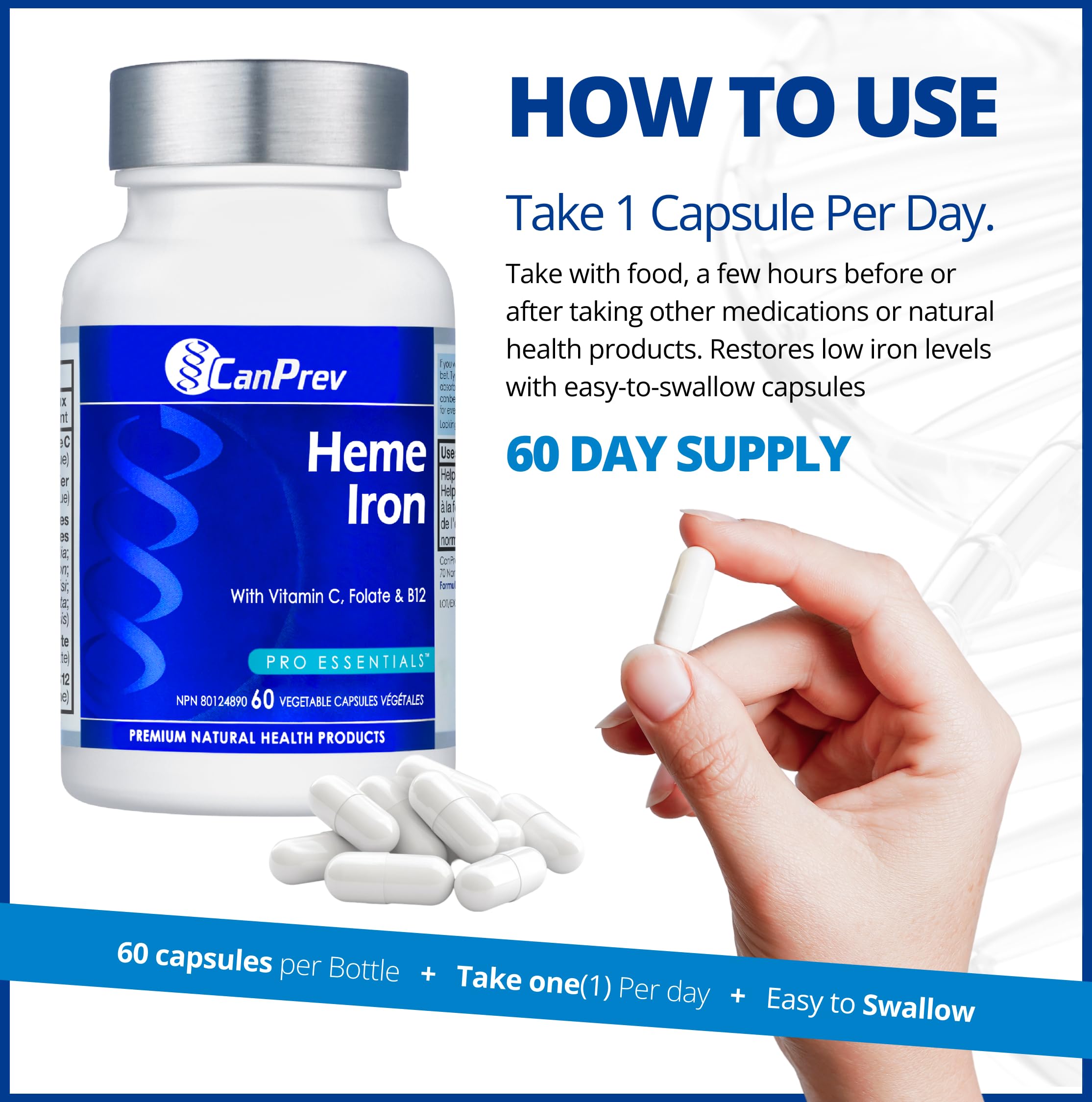 CanPrev Heme Iron 60 V-Caps, 60-Day Supply With Vitamin C, Folate & B12, Gentle, Easy-to-Absorb Iron Supplement for Women, Non-GMO, Gluten & Soy-Free, Supports Red Blood Cell Formation, Made in Canada