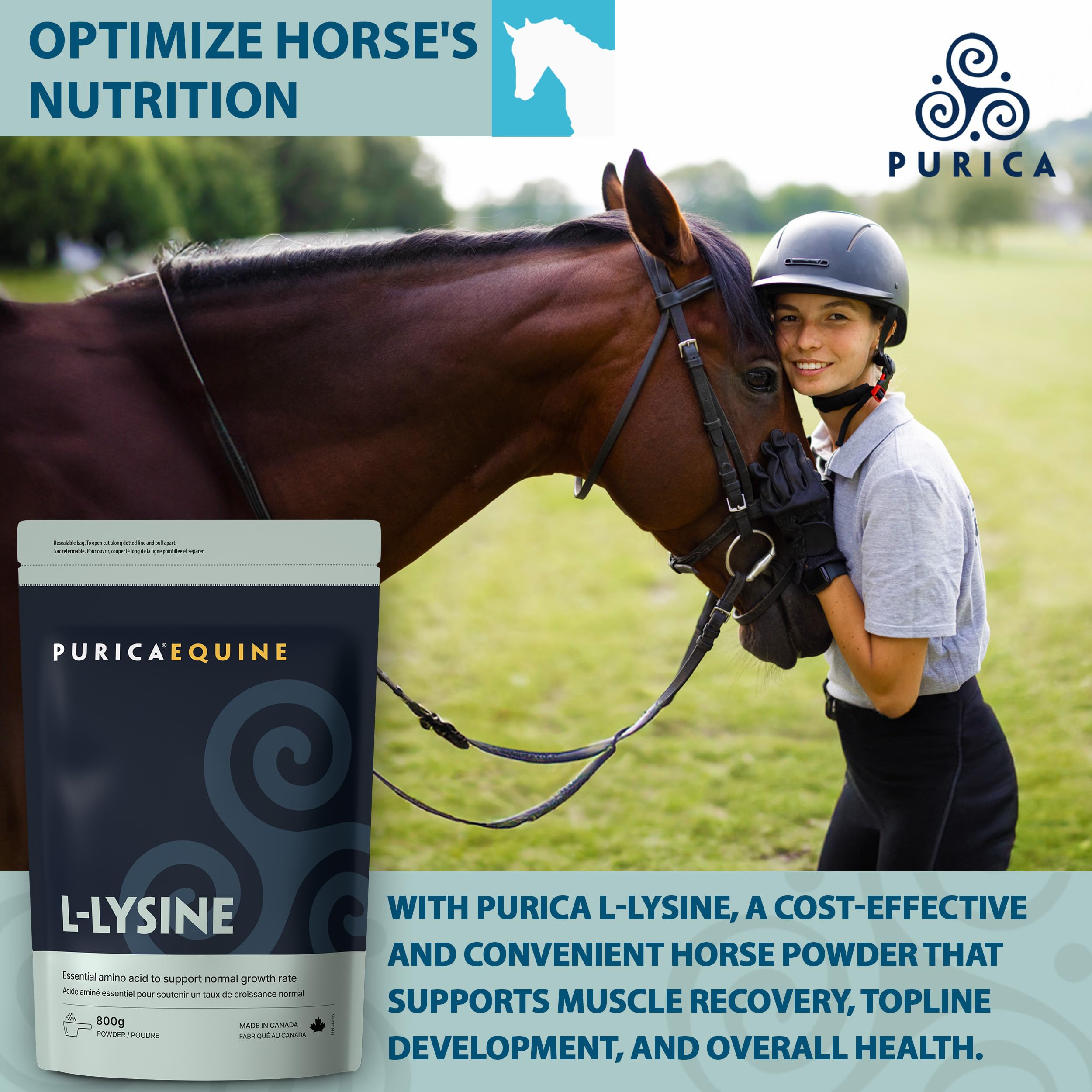 PURICA - L-Lysine en poudre 800g - Acide aminé lysine - Lysine pour chevaux - Complément pour la santé équine - Suppléments de lysine - Poudre de lysine végane pour chevaux - Acide aminé essentiel L-Lysine
