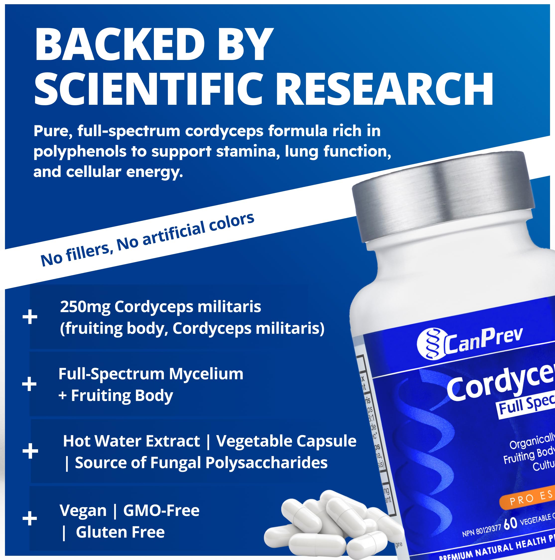 CanPrev Cordyceps Supplément de champignons à spectre complet 60 capsules végétaliennes, approvisionnement de 2 mois, corps fructifère et stroma cultivé biologiques, soutient la vitalité quotidienne, l'énergie, l'endurance, végétalien, sans gluten